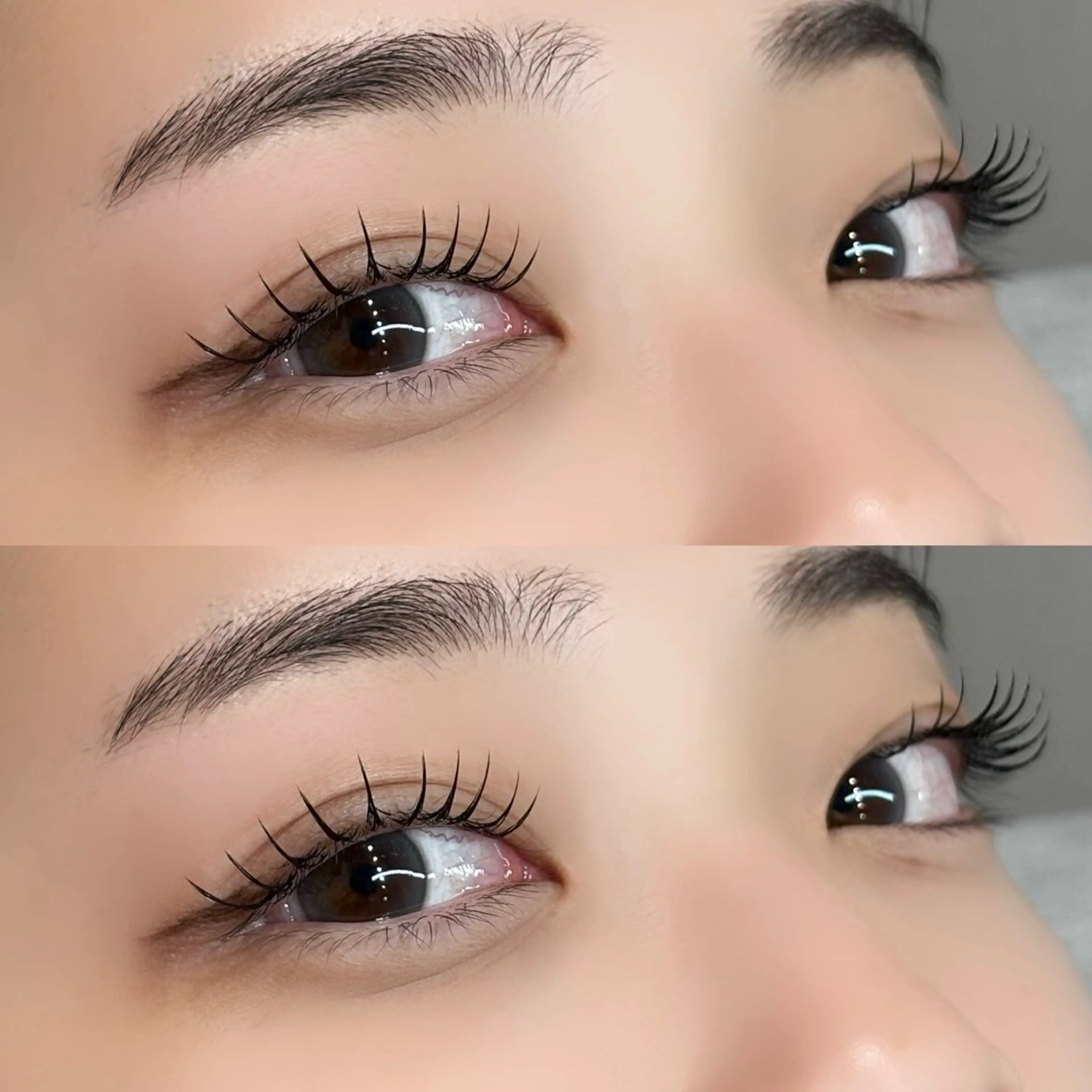 ミニモ限定価格🎀EyeBrows Wax × FlatLash 100本🎀の写真