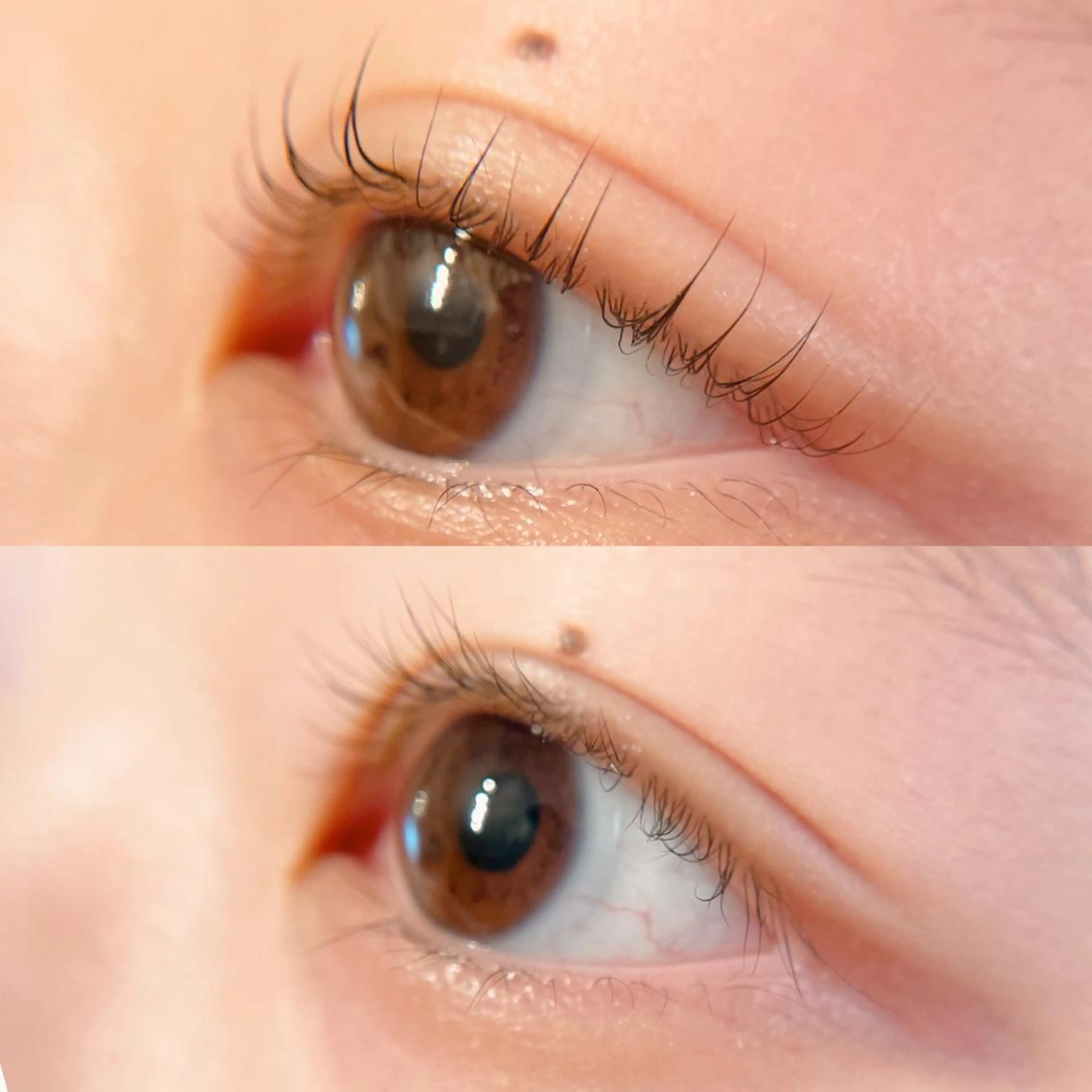 マツエク・マツパ 一重×まつ毛パーマ Chante Lily所属・森崎 麗のマツエク・マツパデザイン