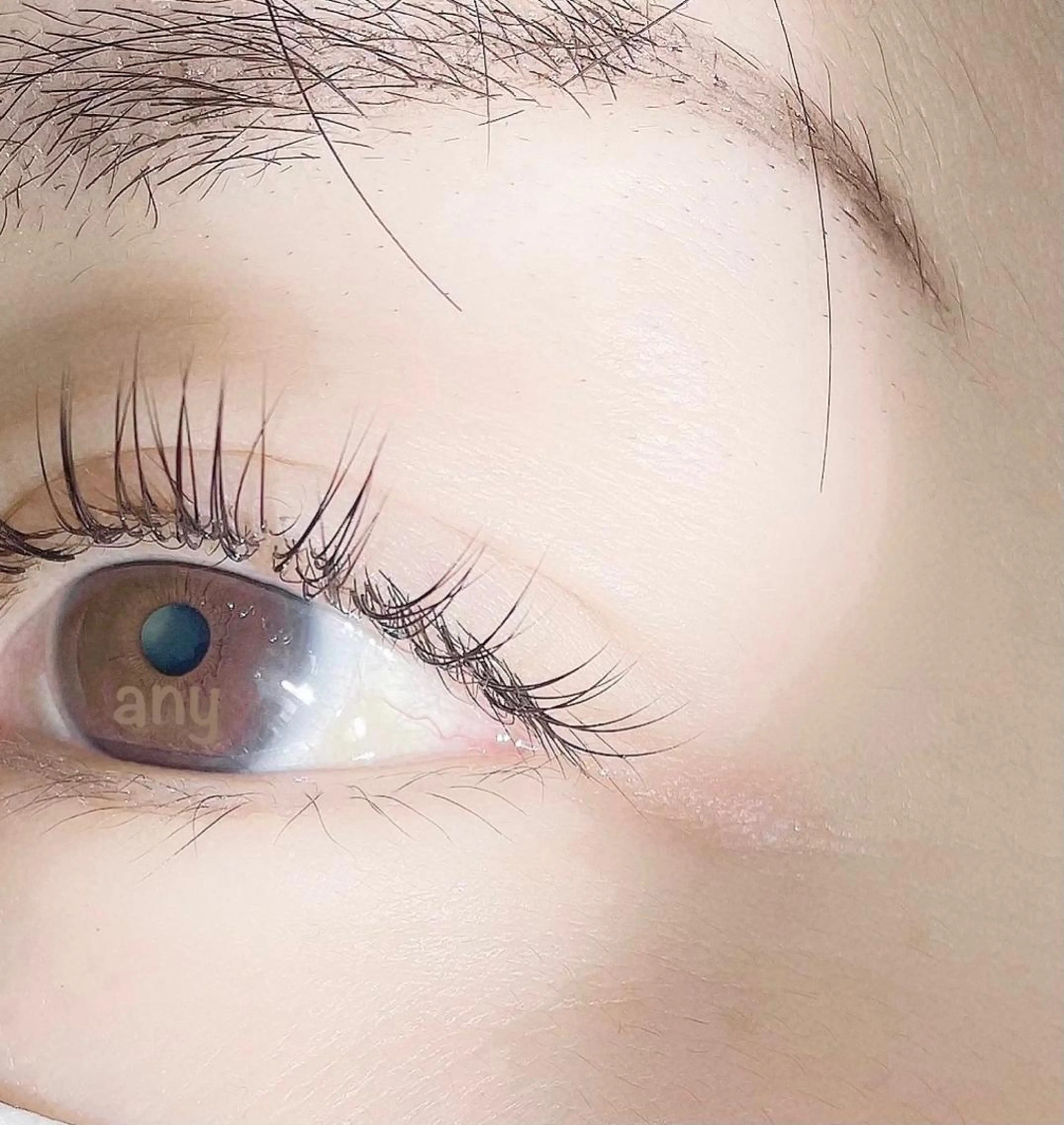 シングルフラットラッシュ100本までの写真