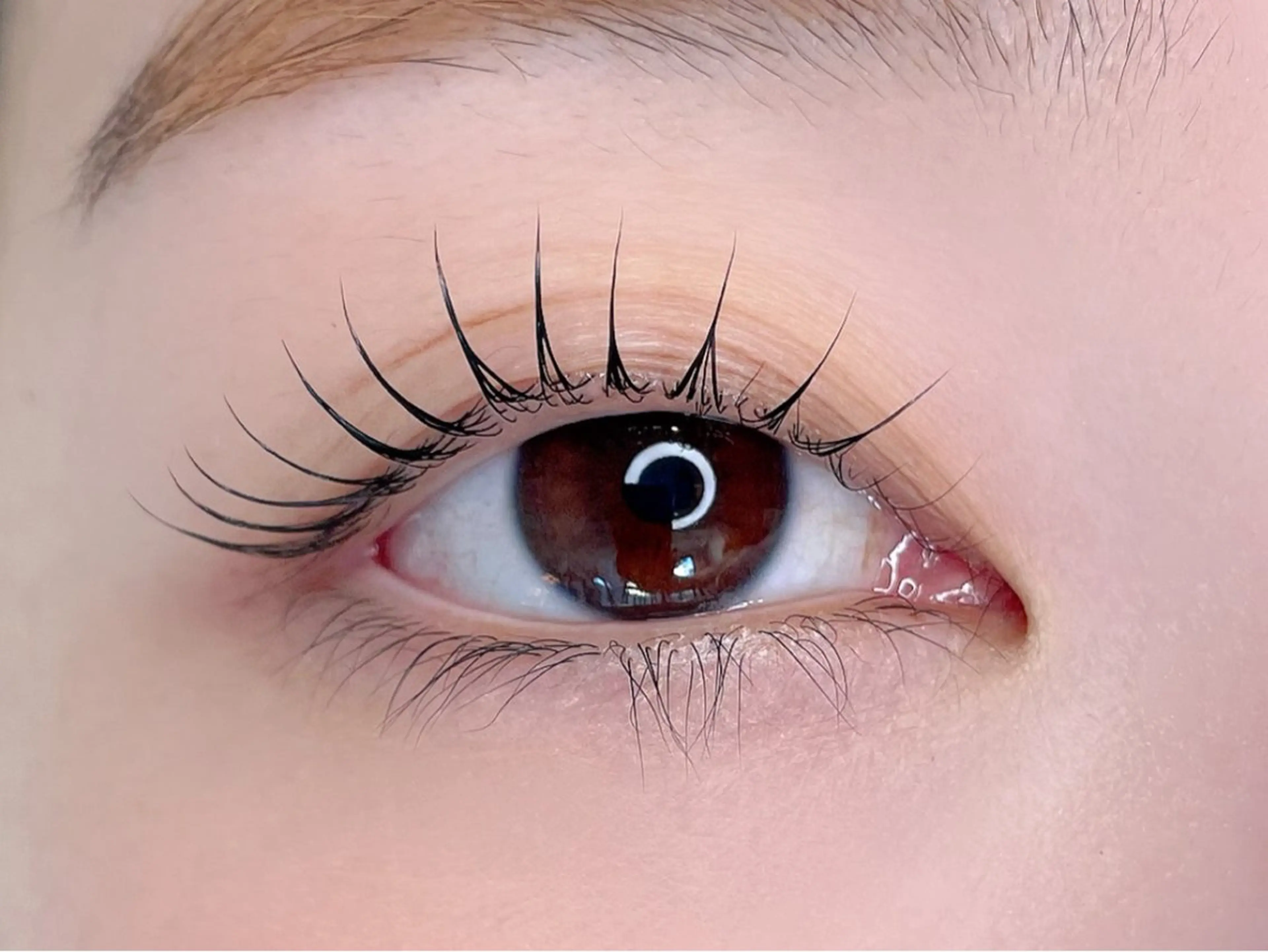 マツエク・マツパ マツパ Salon　DéFi 🦋マツパ・眉毛のマツエク・マツパデザイン