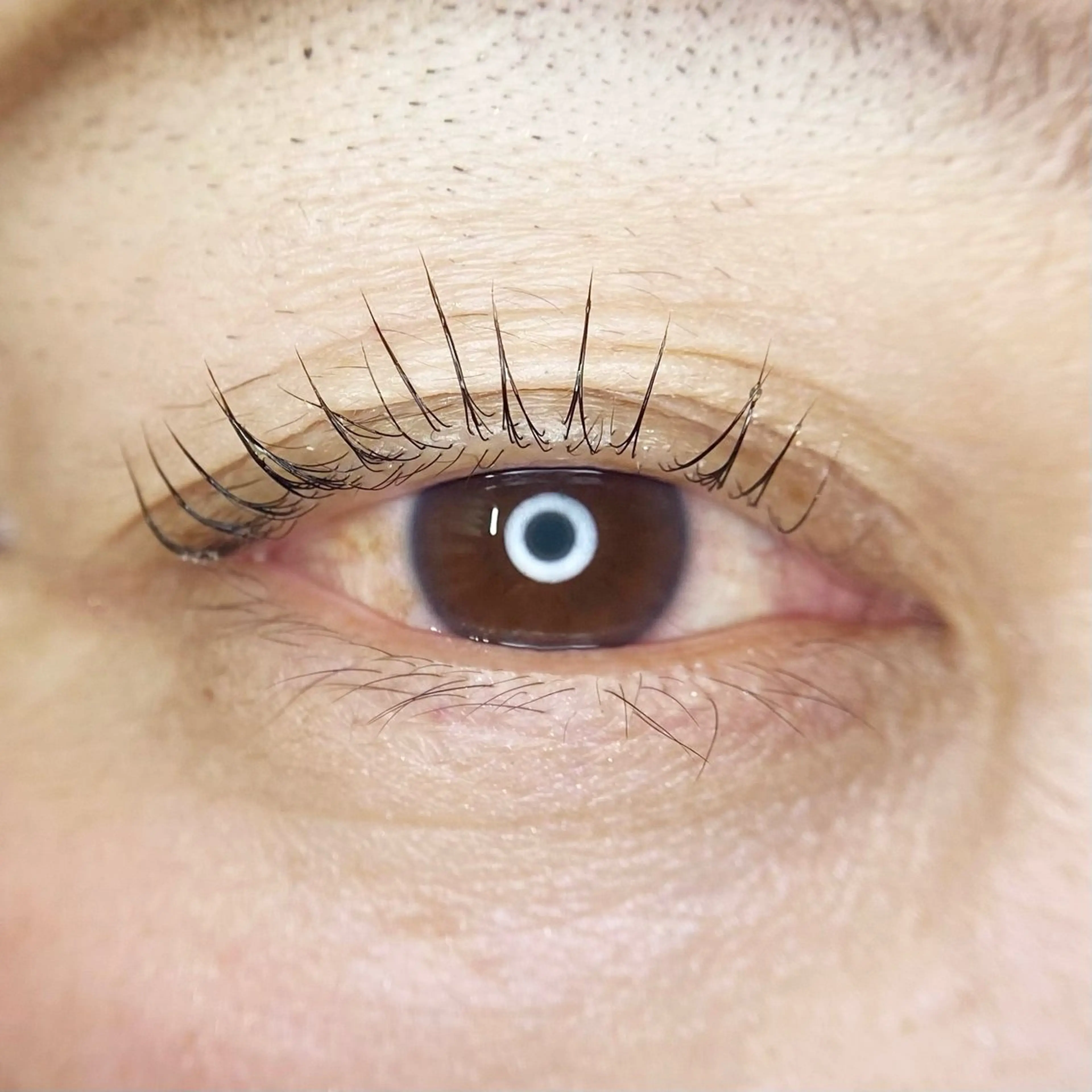 マツエク・マツパ まつ毛専門店pink moon板橋店所属・まつ毛専門店 pinkmoonのマツエク・マツパデザイン