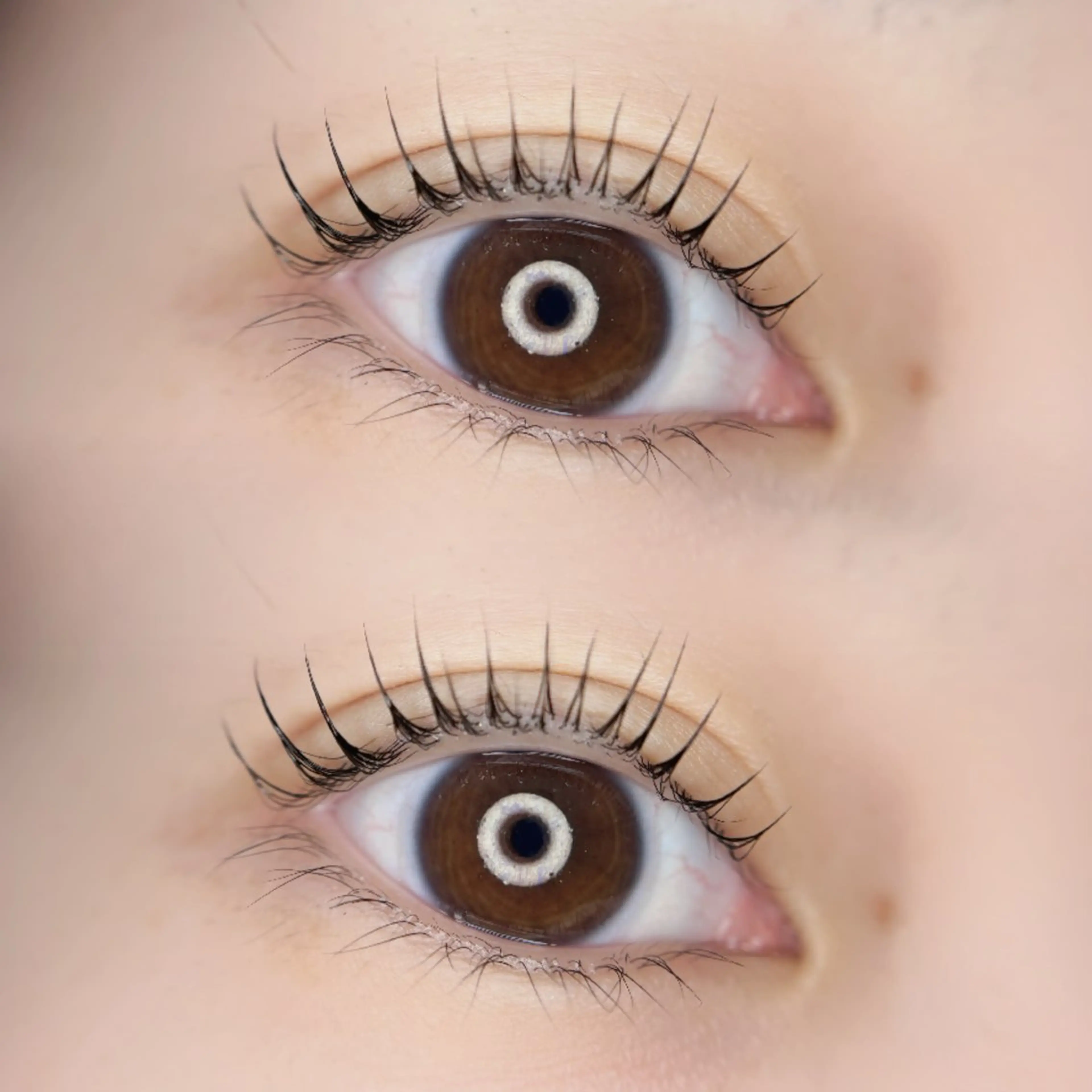 マツエク・マツパ マツパ 🦋MaaZlash 南流山FUKA🤍のマツエク・マツパデザイン