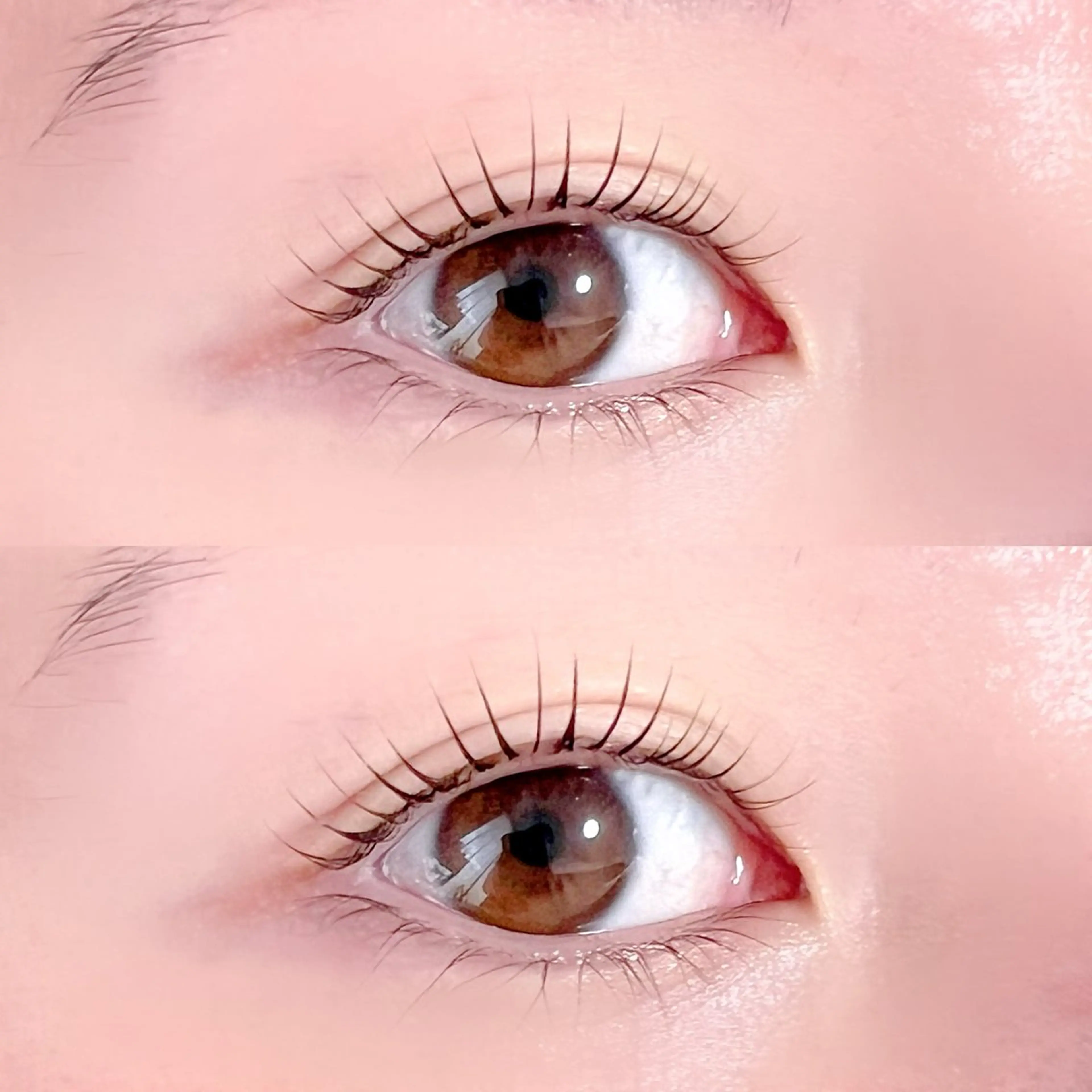 上下まつ毛パーマ＊トリートメント付きの写真