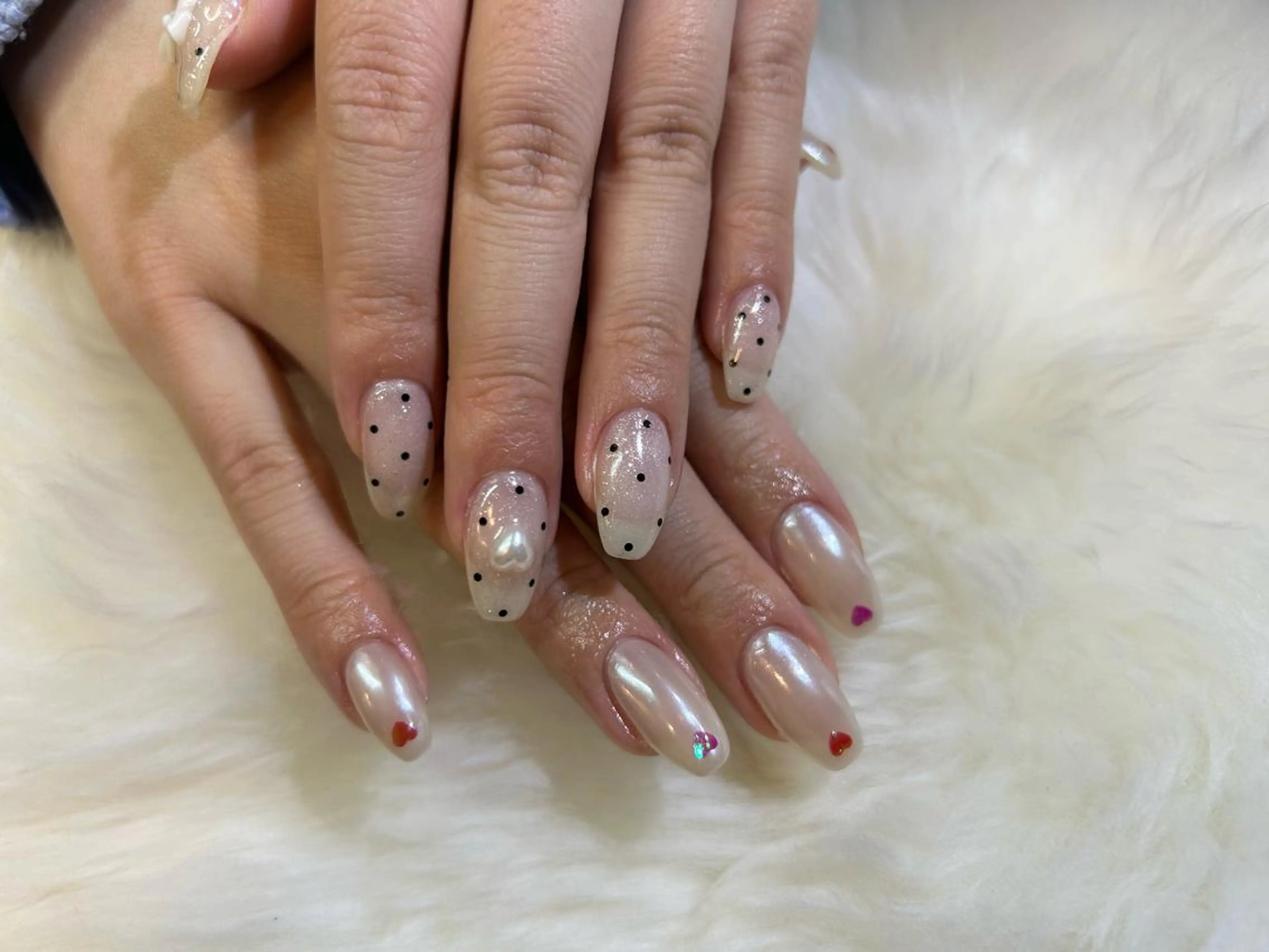 (オフなし)持ち込みライトコースの写真