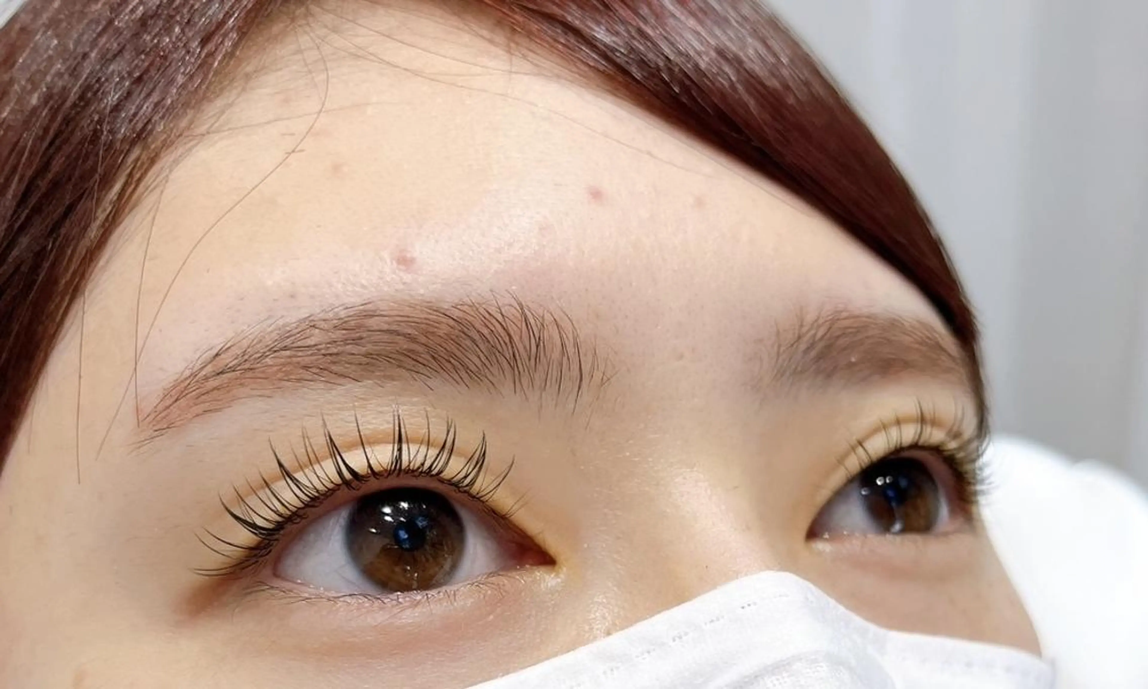 【マスカラティント】🖤マスカラまつげパーマ🖤の写真