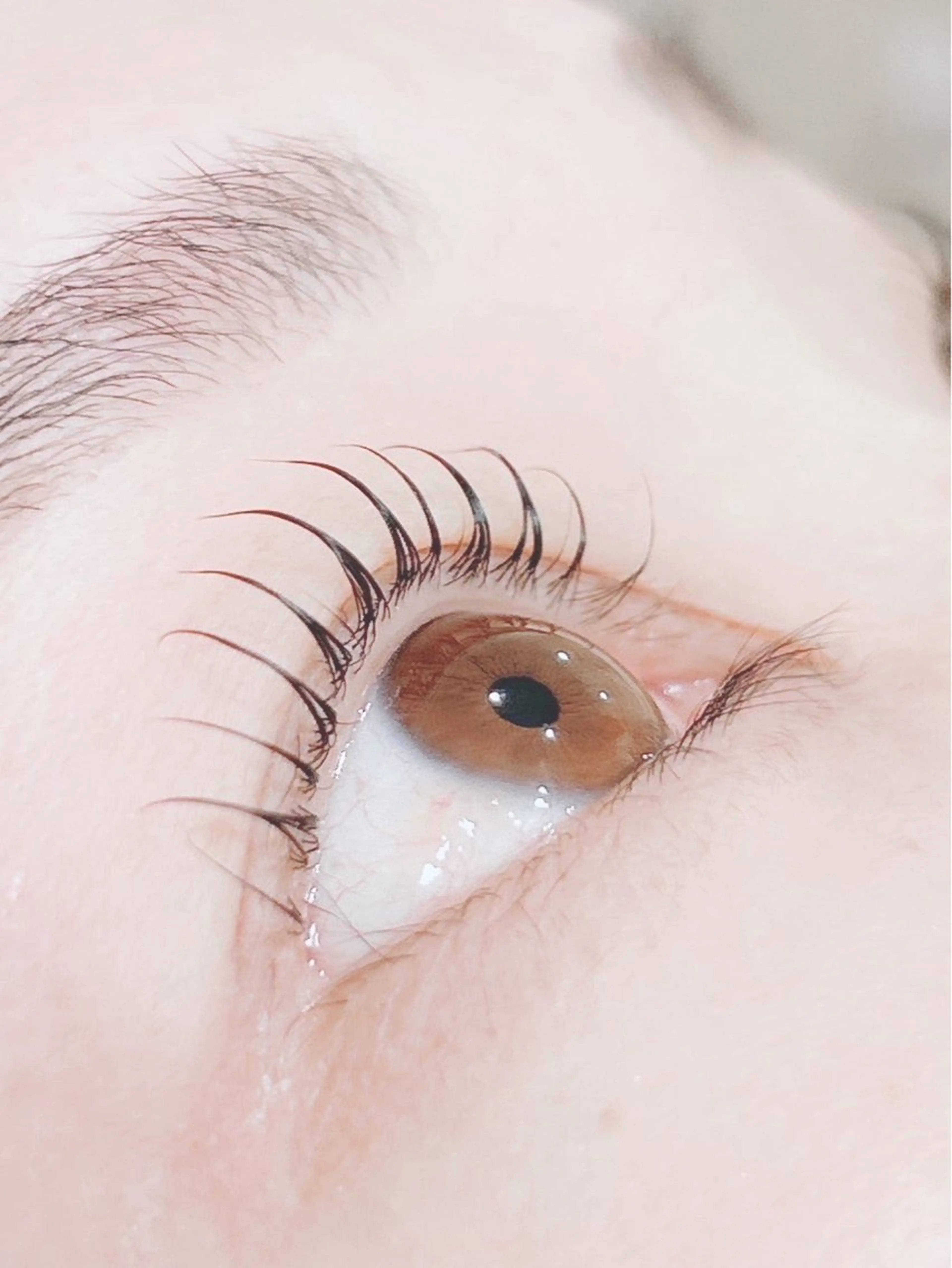 まつげパーマ★パリジェンヌ上下set★の写真