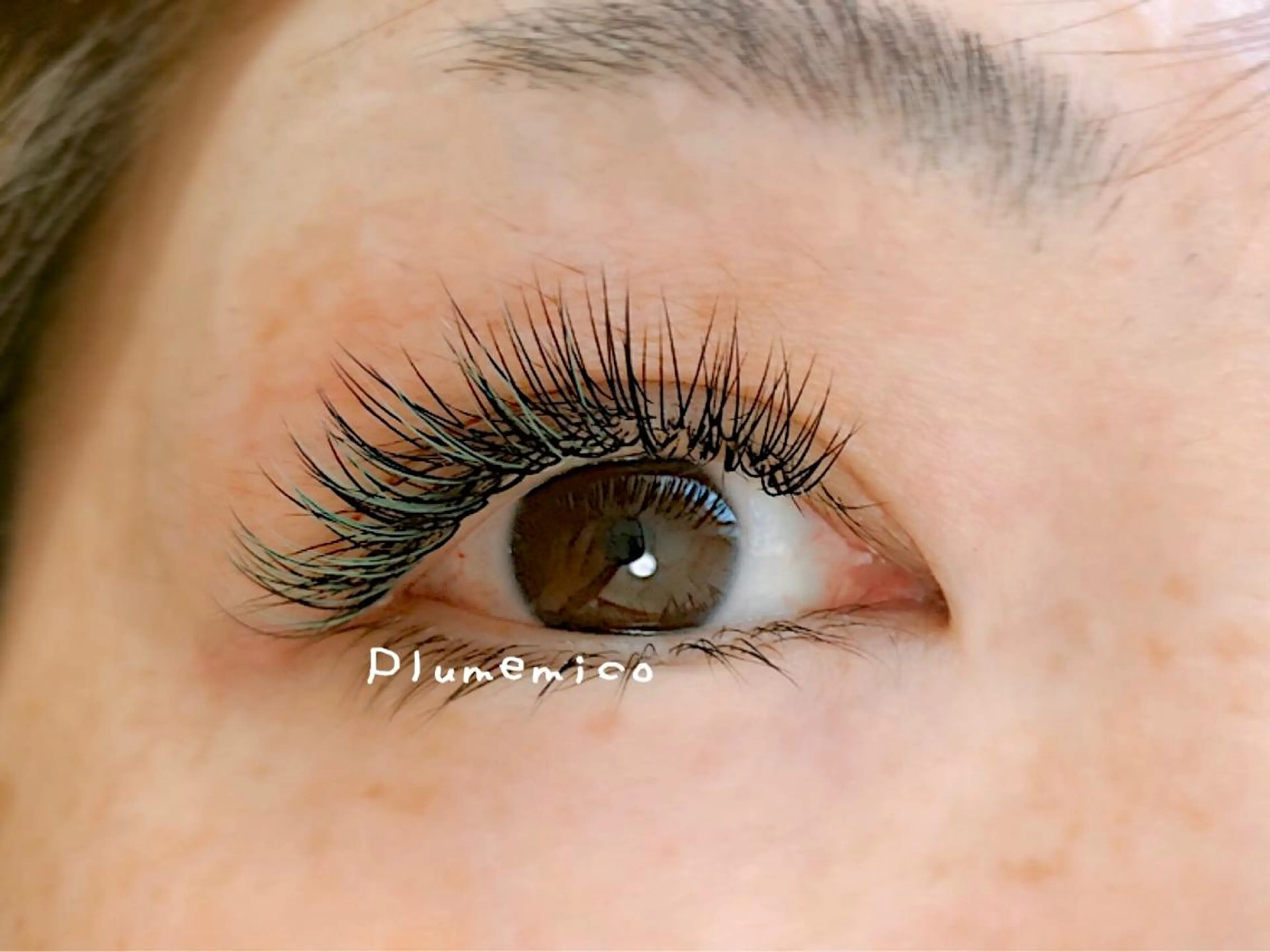 マツエク・マツパ Plume micoのマツエク・マツパデザイン