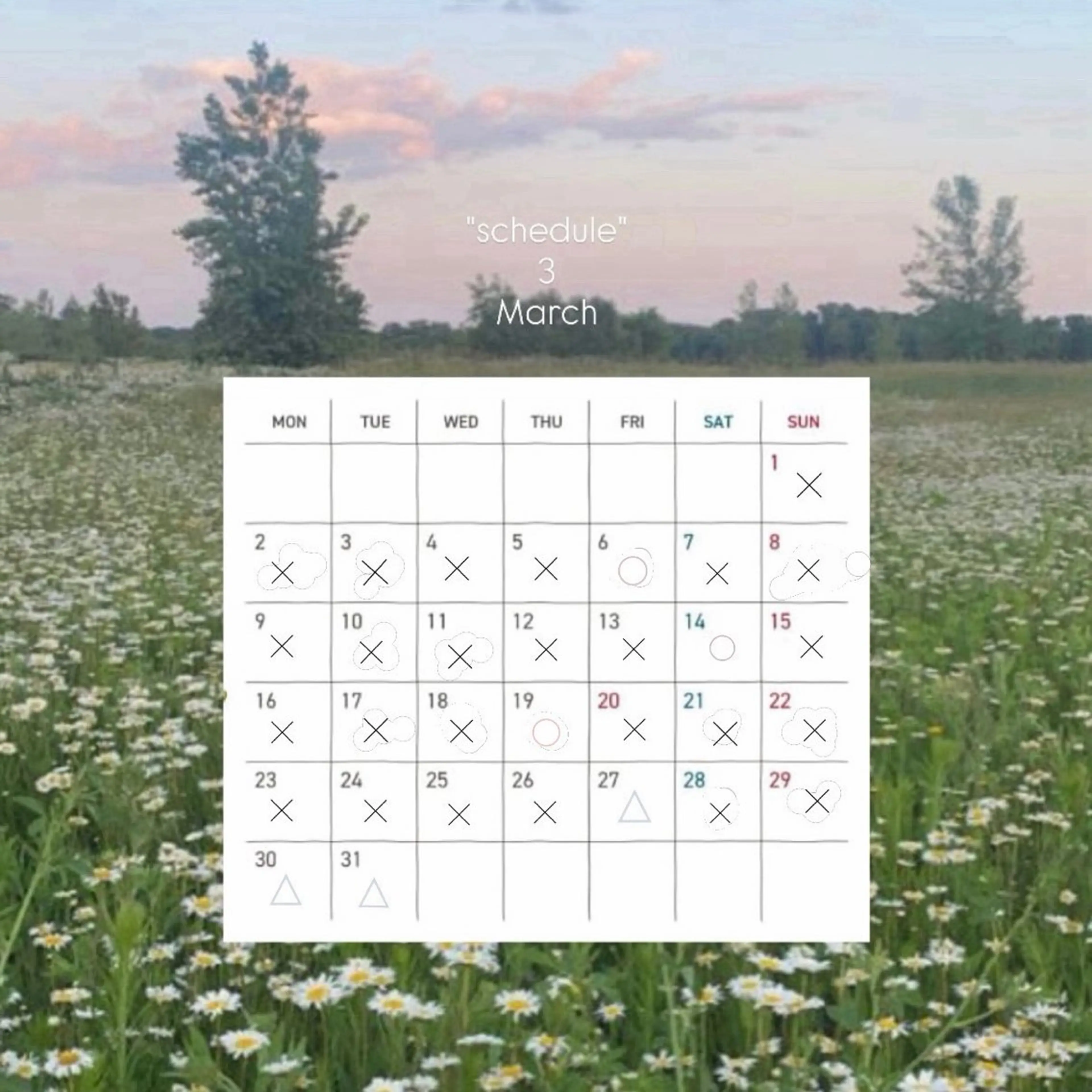 コワファースト長崎シャンプーボーイ所属・カラーモデル募集中 🫧HONOKAのヘアスタイル