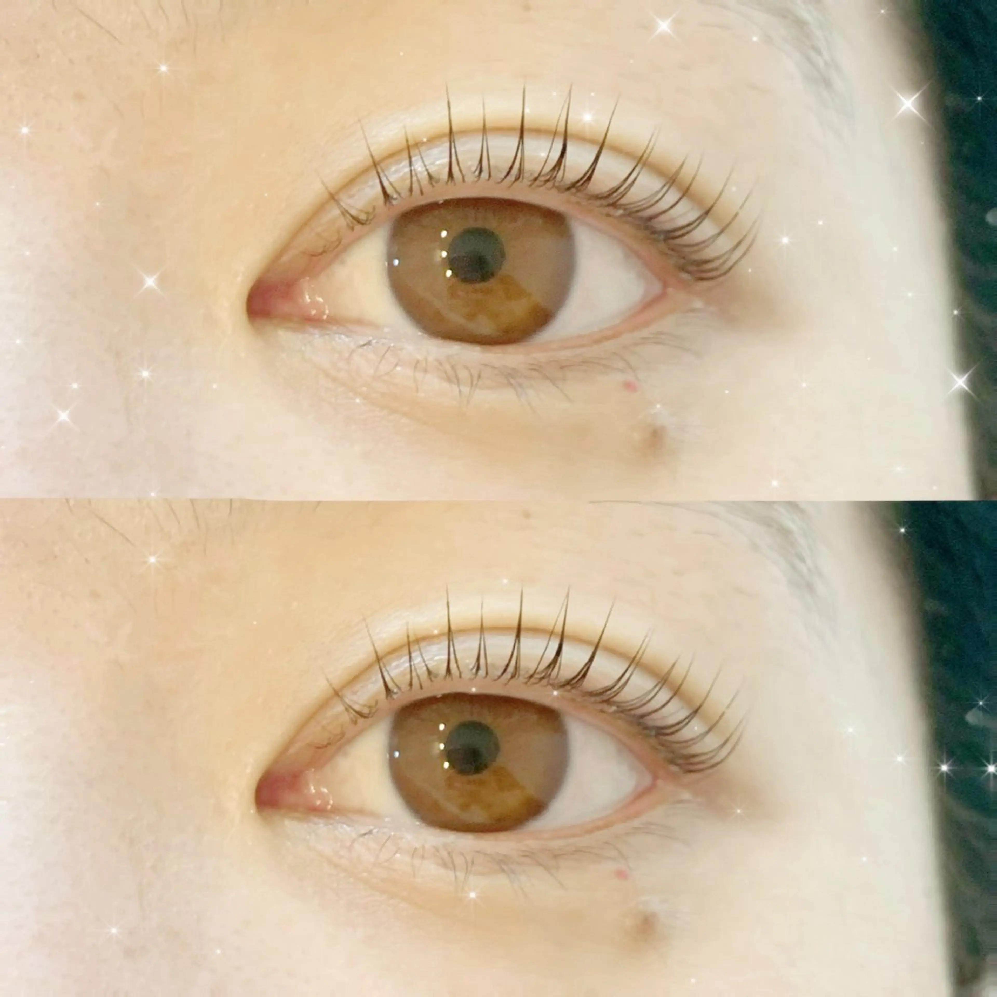 🤍 パリジェンヌラッシュリフト 🤍（上）の写真