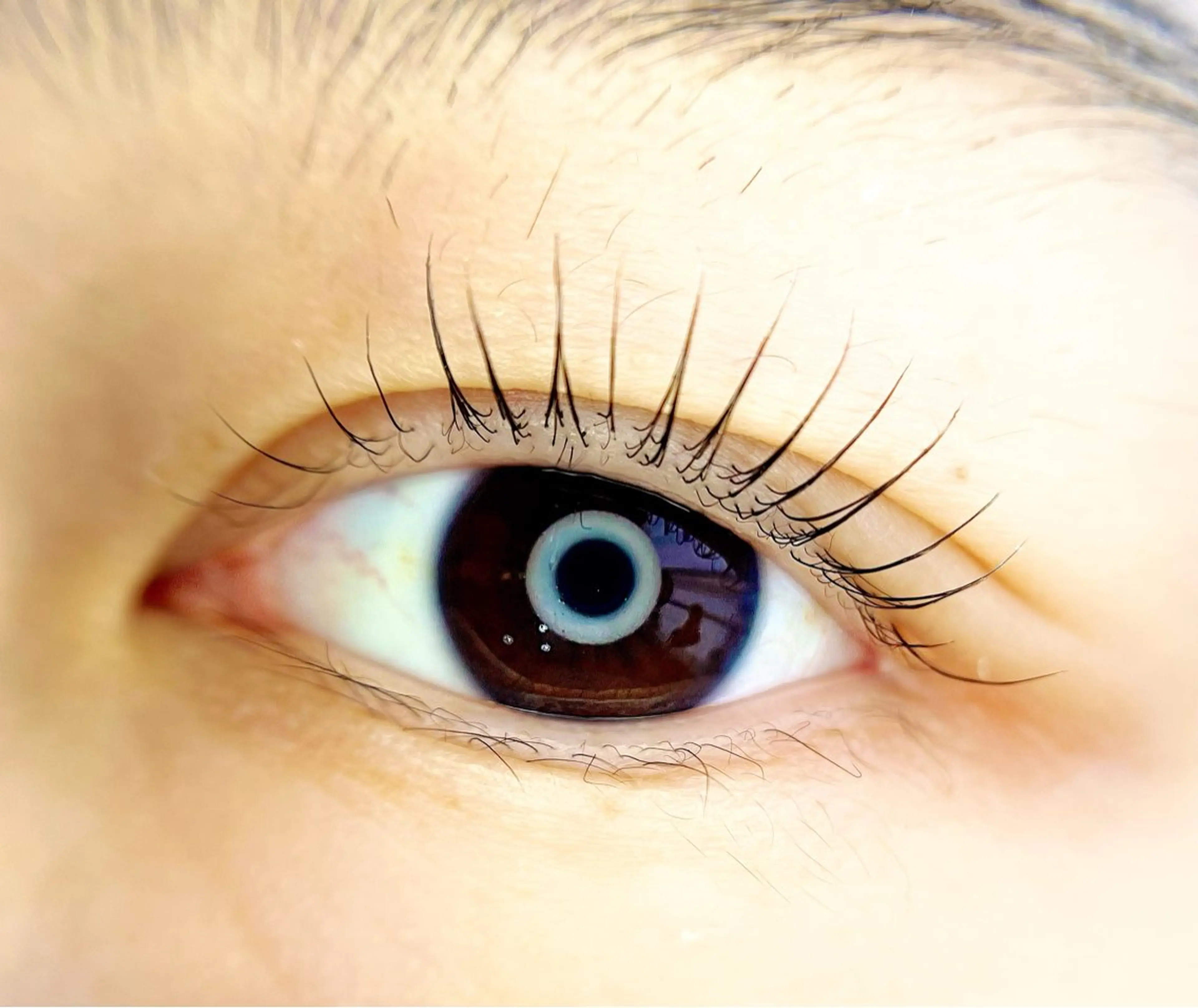 マツエク・マツパ un par un アンパルアン所属・un par unの眉毛・アイブロウイメージ