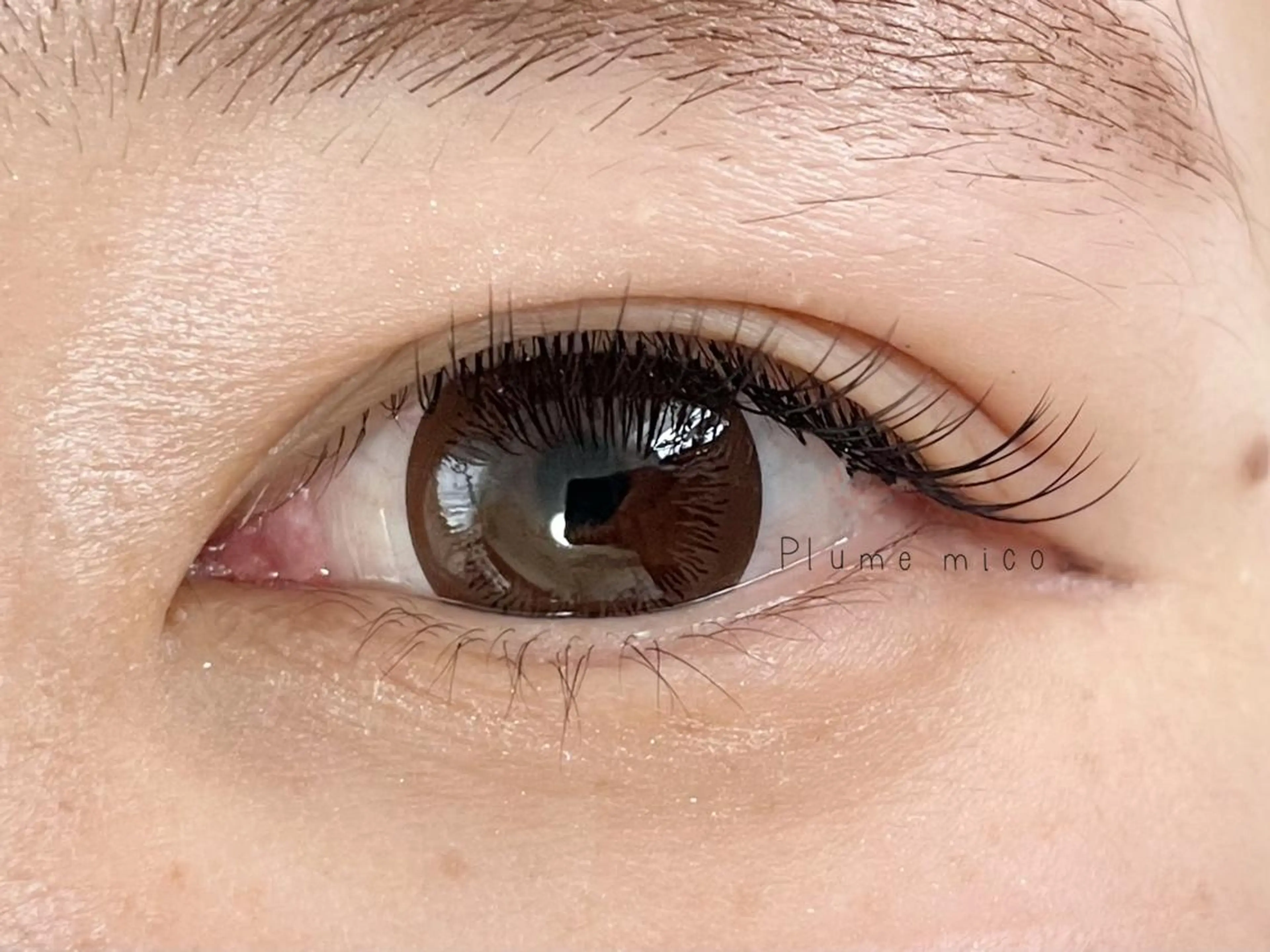 マツエク・マツパ Cカール マツエク Plume micoのマツエク・マツパデザイン