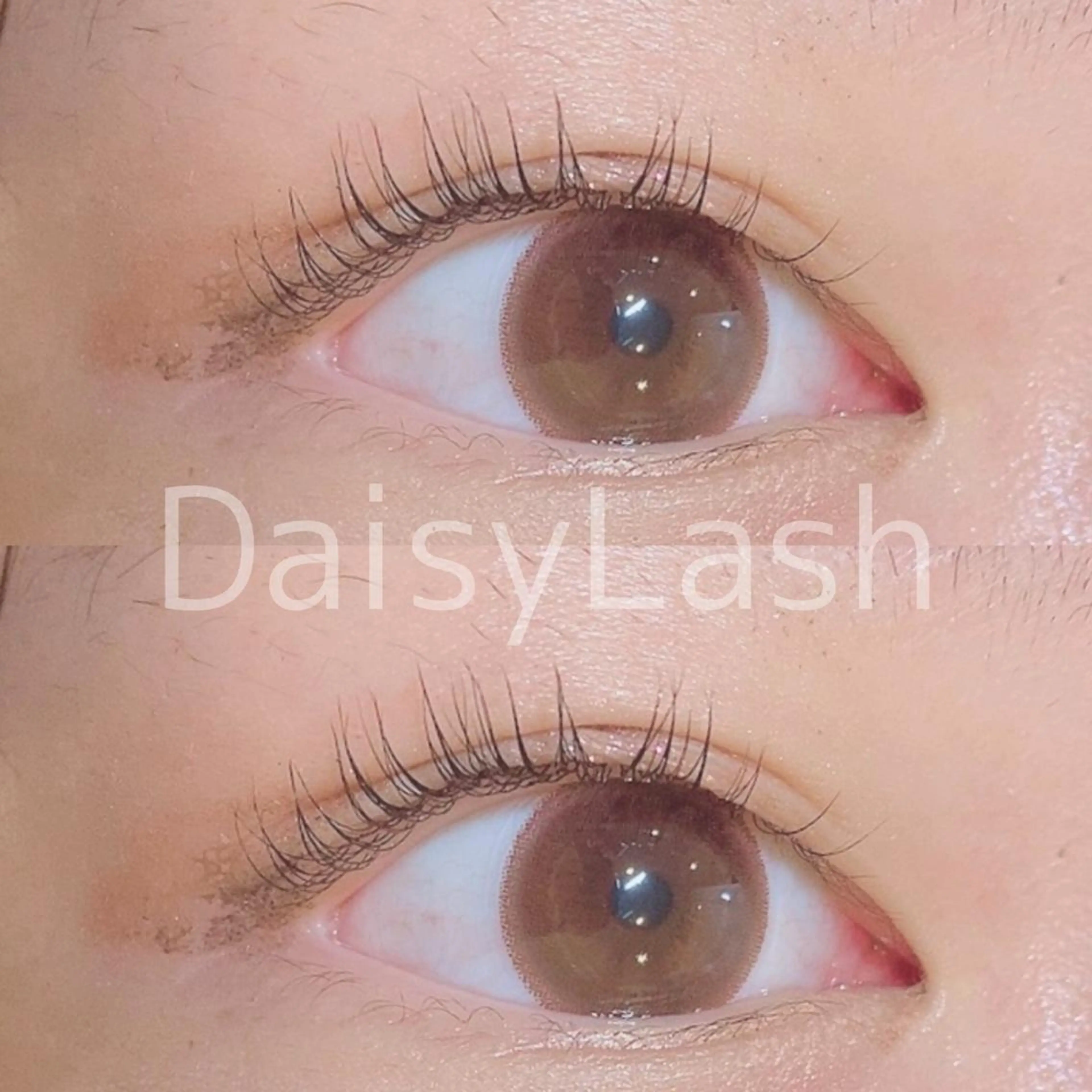 マツエク・マツパ DaisyLash 京橋店のマツエク・マツパデザイン
