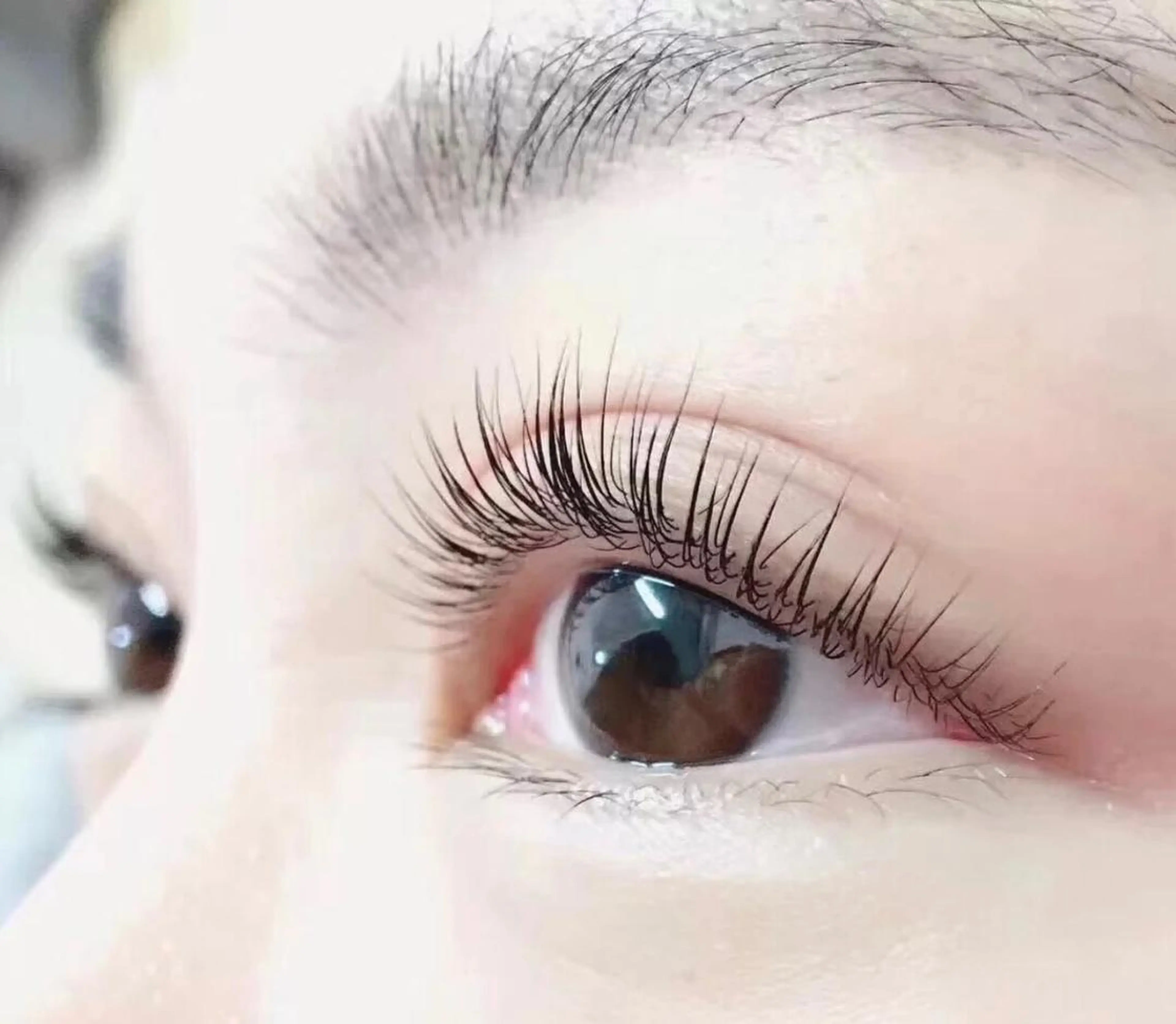 🩷新生活応援まつげパーマラッシュリフト上のみの写真