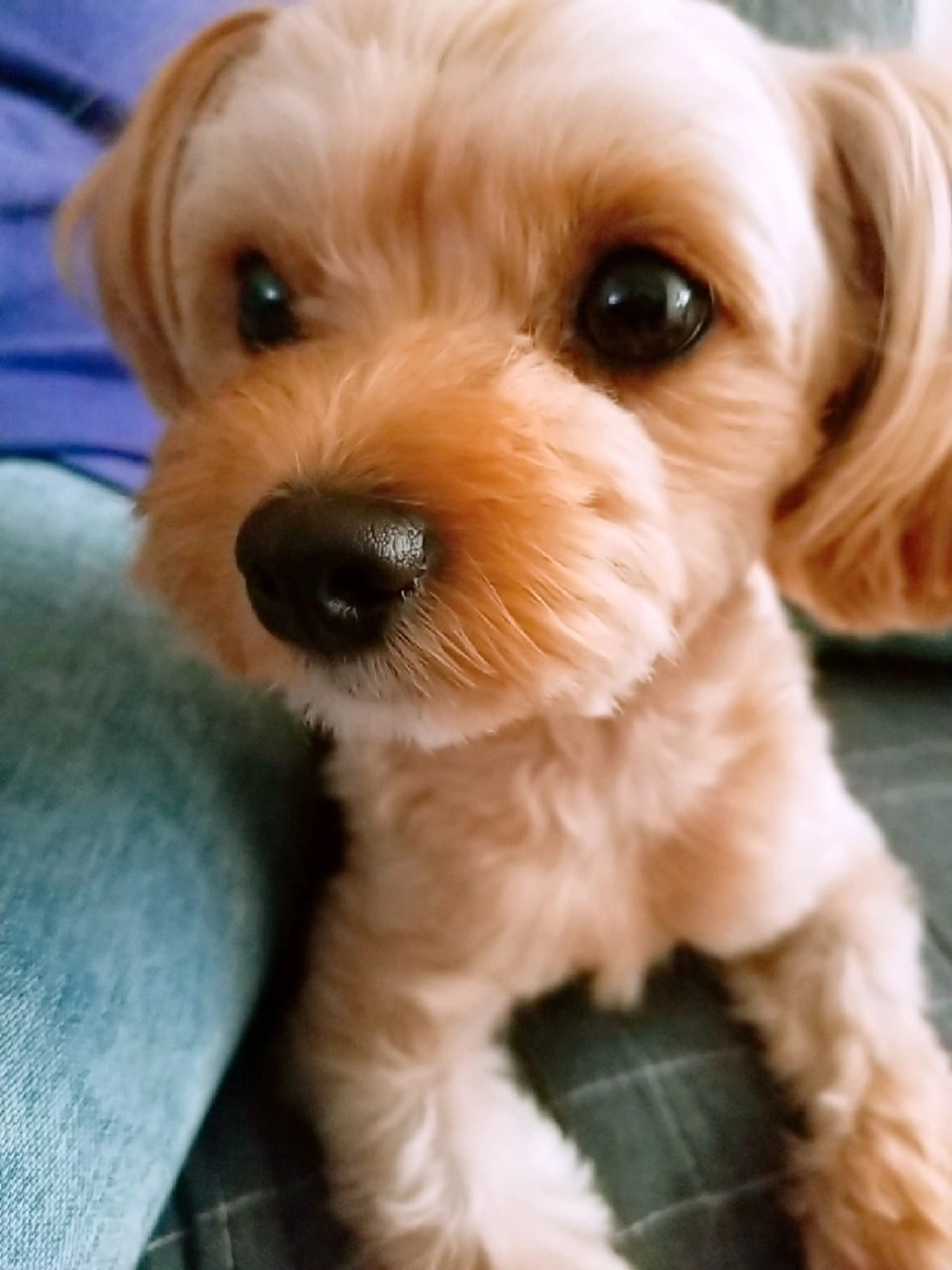 y's salon CHAM所属・CHAM 　y's salonのマツエク・マツパデザイン