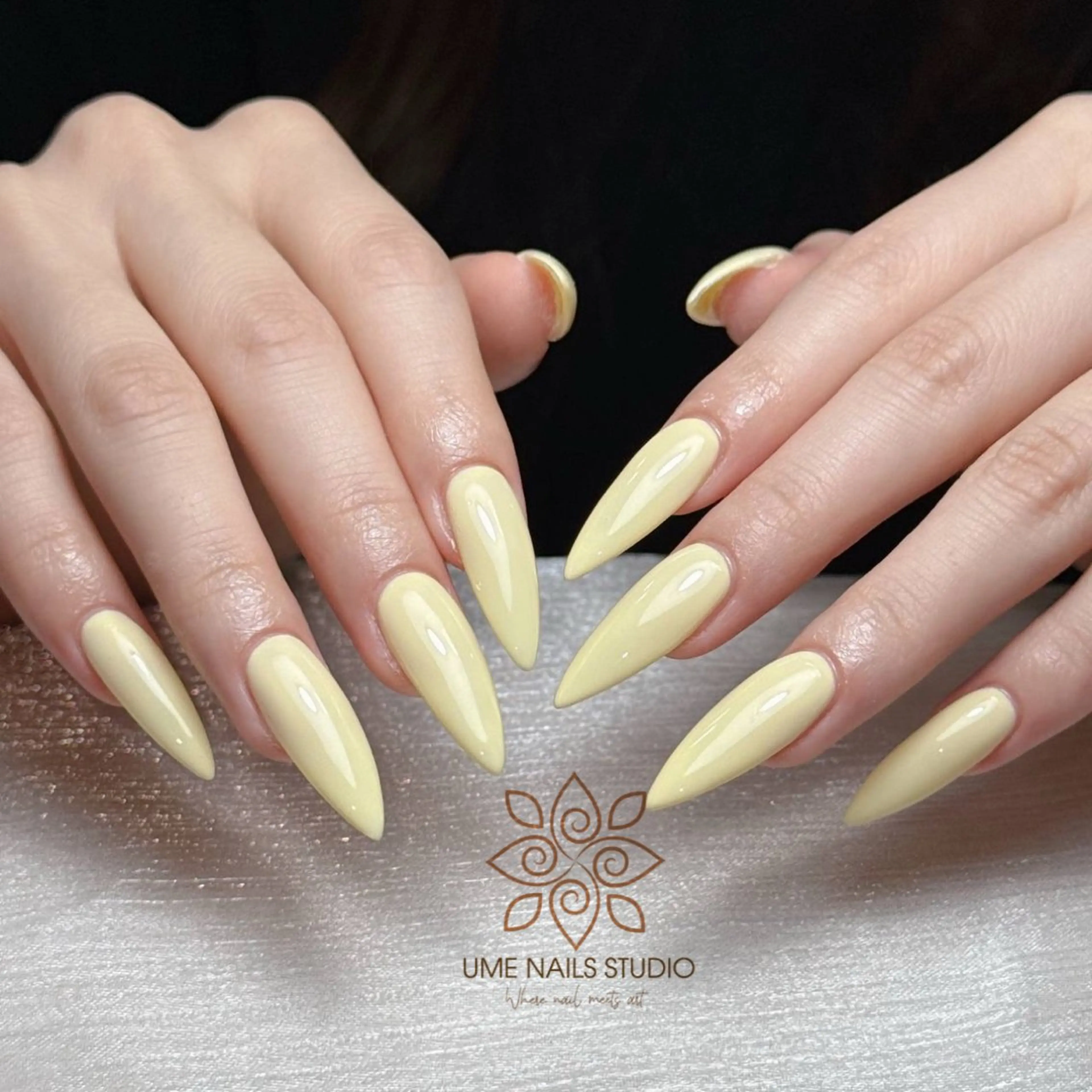 チップ長さ出し10本＋ワンカラの写真