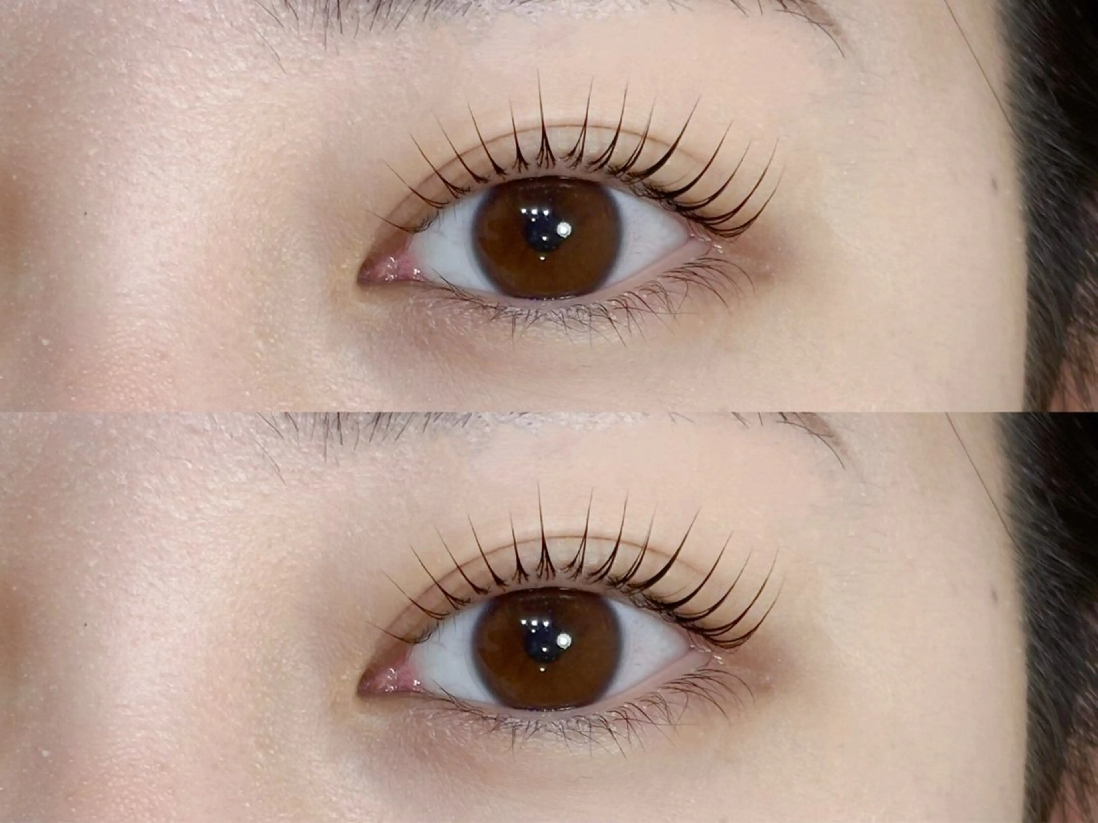 大人気🌼韓ドル風パリジェンヌラッシュリフト【コーティング仕上げ🤍】(当店再来+¥500)の写真