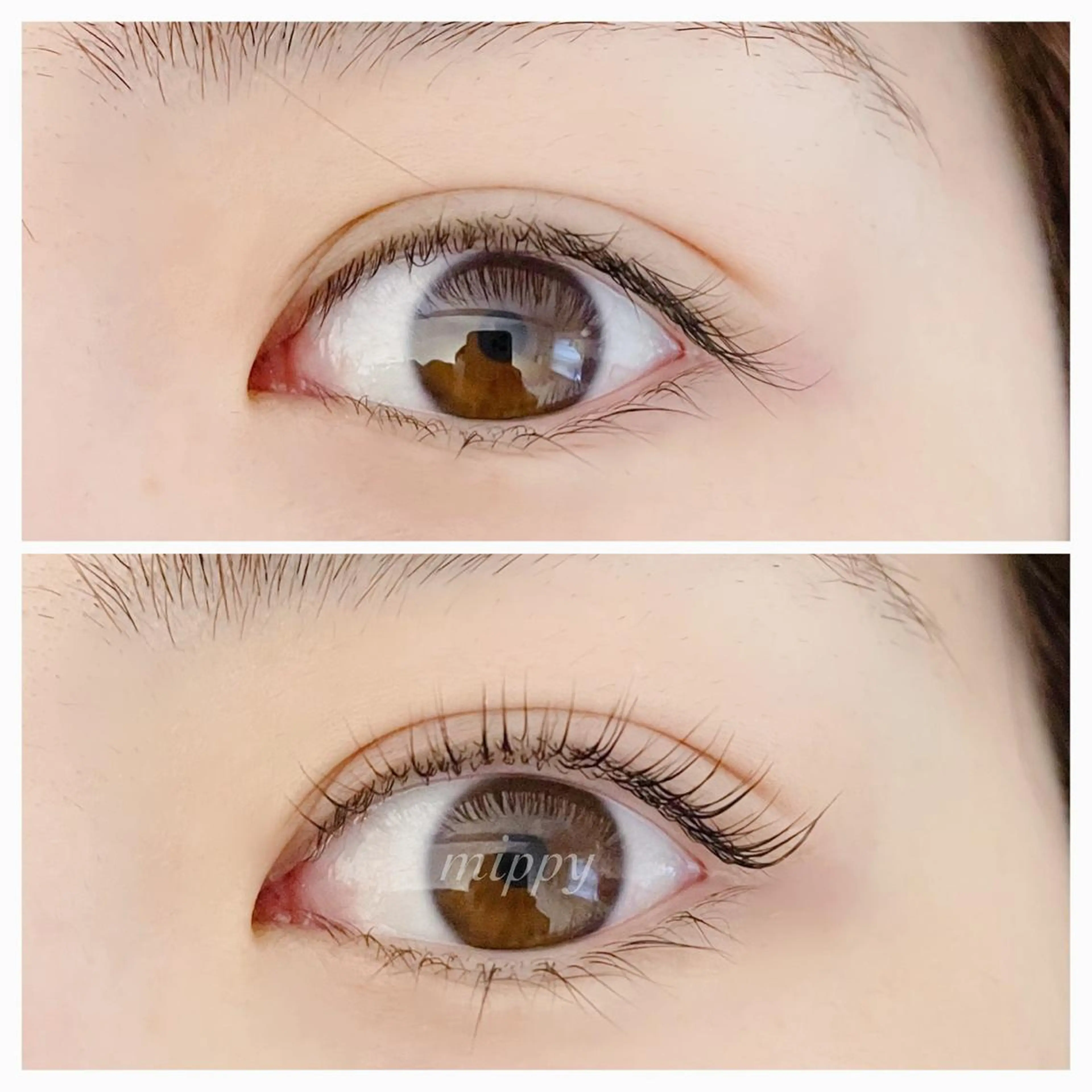 マツエク・マツパ パリジェンヌラッシュリフト ｍｉｐｐｙ 🪽のマツエク・マツパデザイン