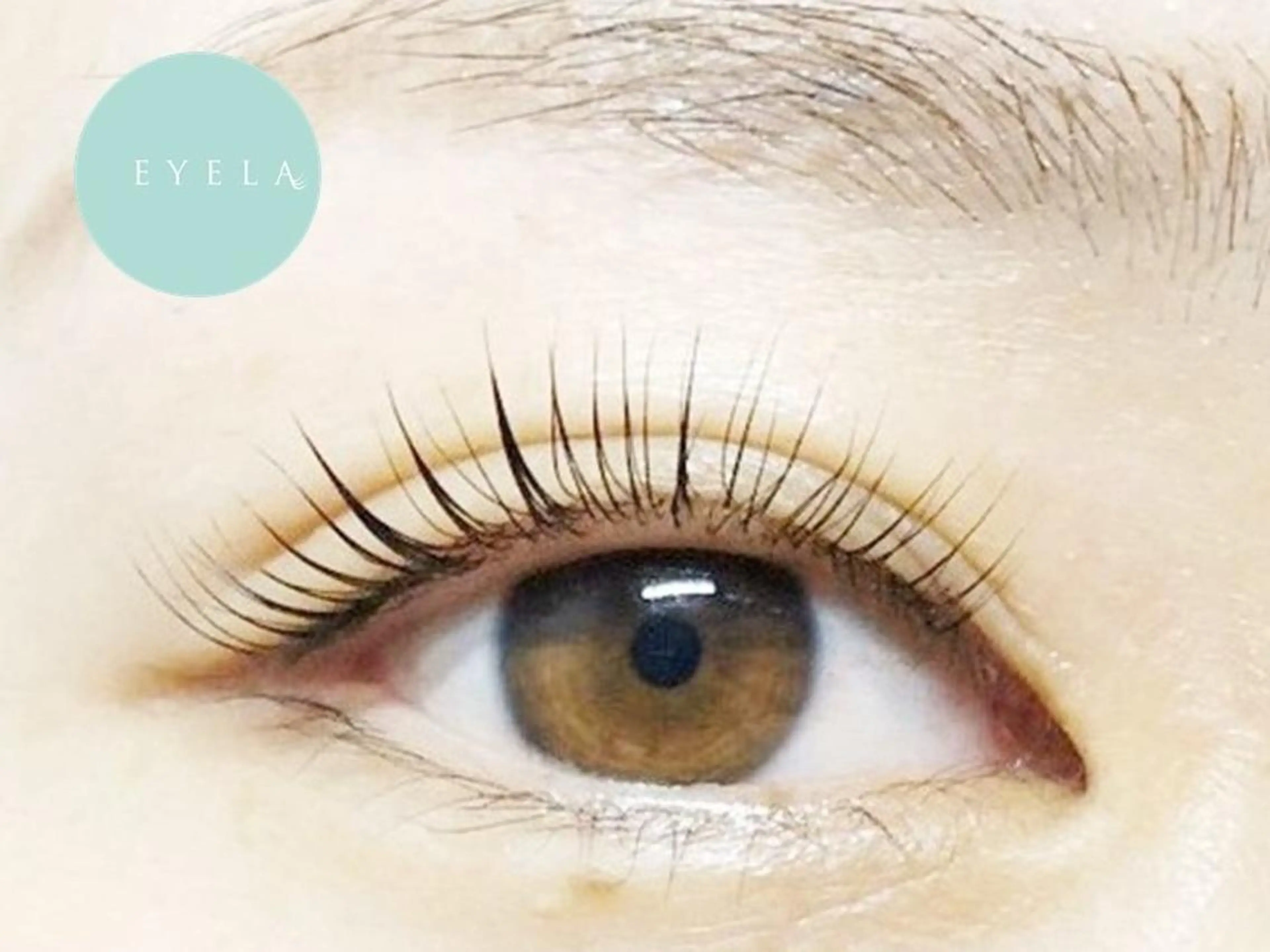 マツエク・マツパ EYELA調布 高橋のマツエク・マツパデザイン