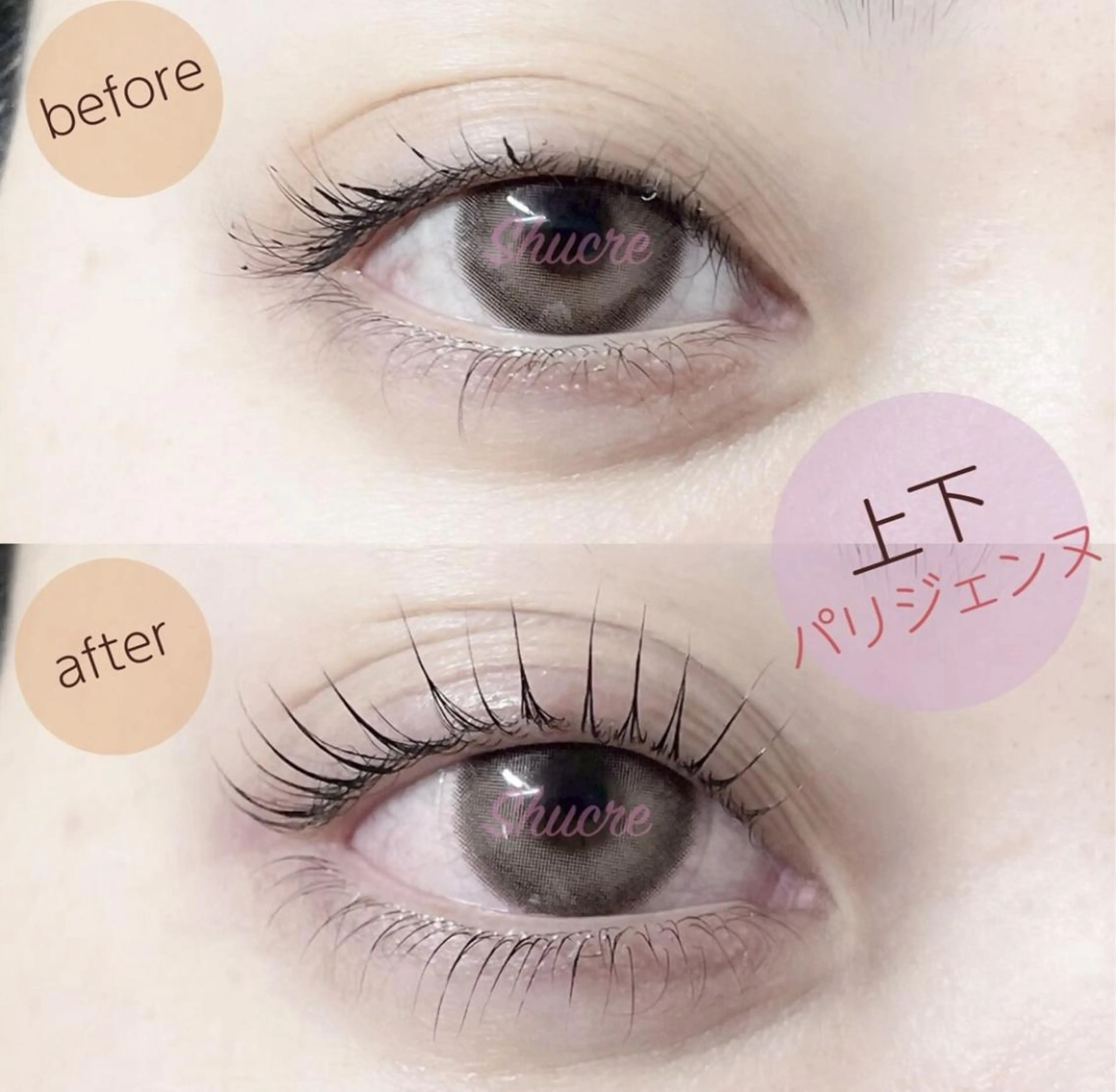 マツエク・マツパ BEIGE金山 ✨️ASAMIのマツエク・マツパデザイン