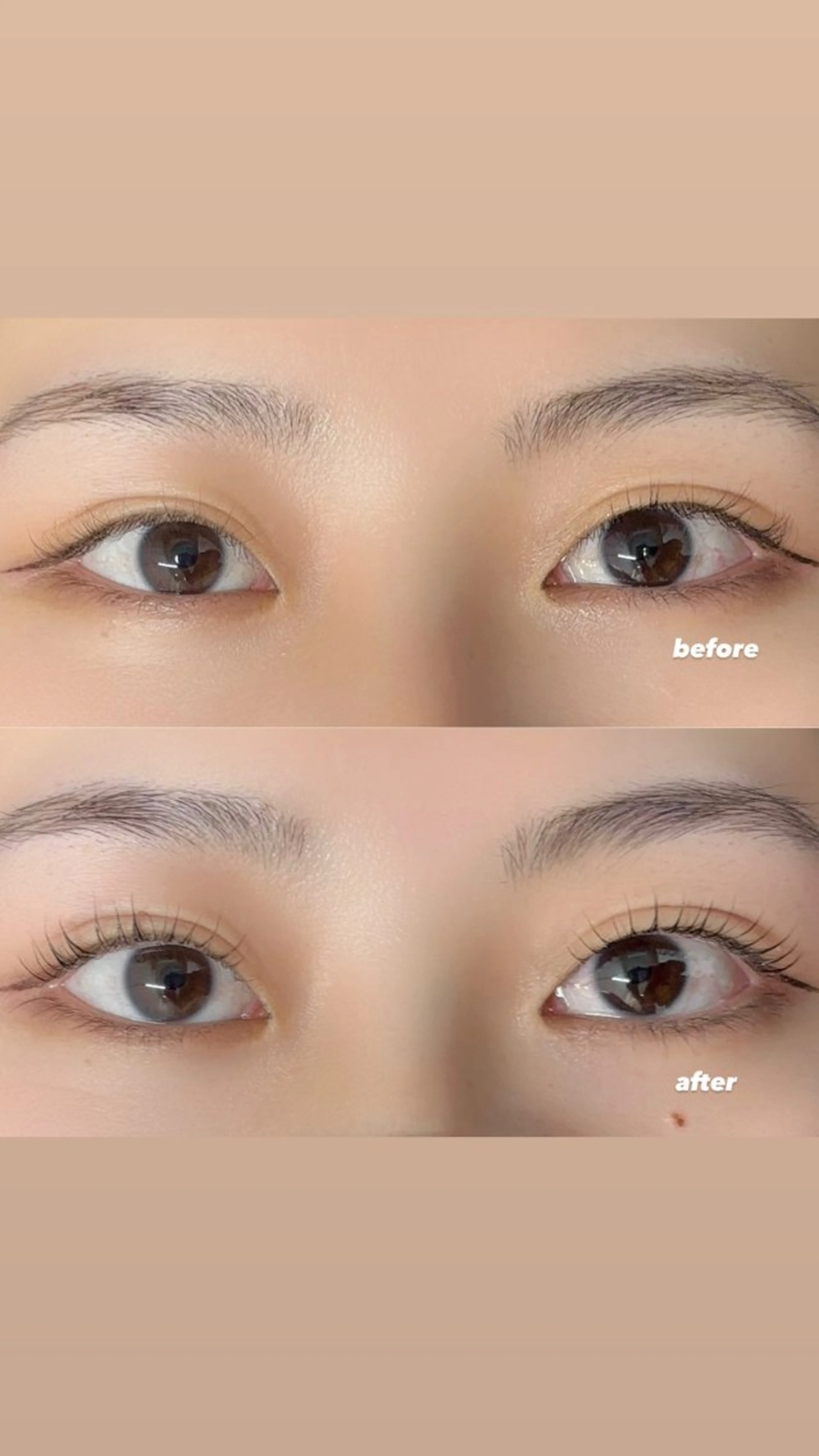 マツエク・マツパ Ayumi.dre 🐹H〈2階〉のマツエク・マツパデザイン