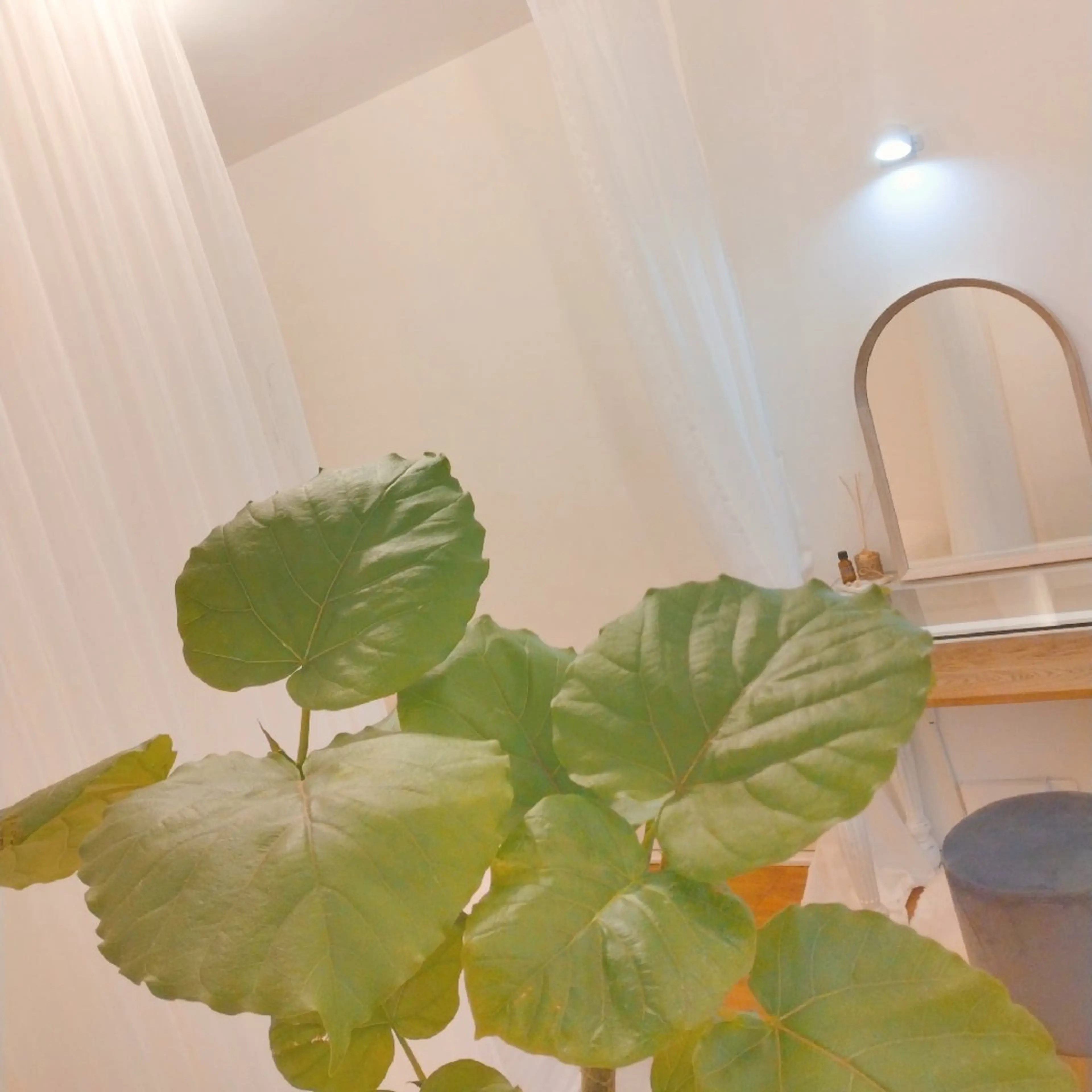 Holistic Beauty CREA所属・肌育+巡るカラダ☾⋆ CREAのエステ・リラクイメージ