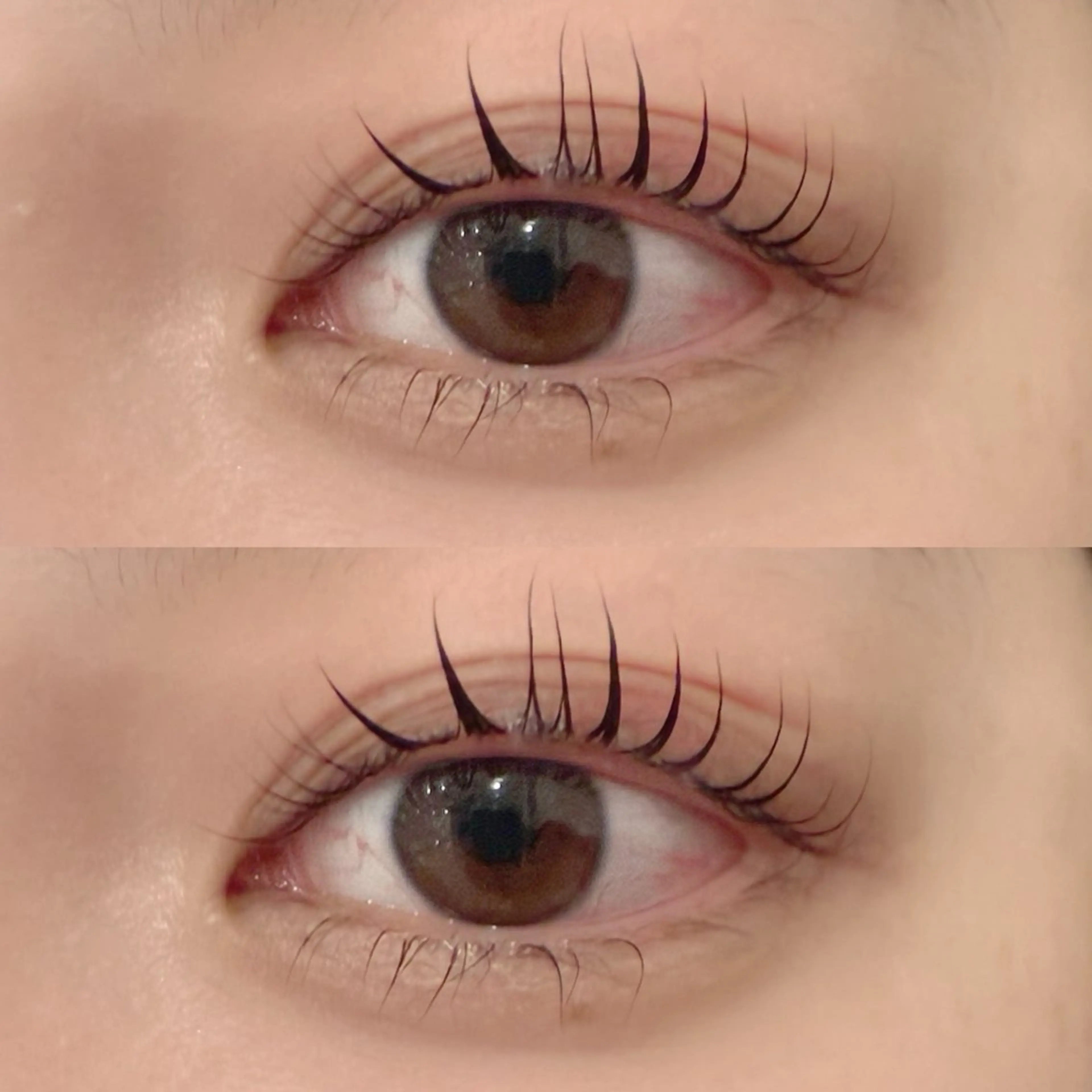 マツエク・マツパ サクラブロウ 第2ビル店　小松の眉毛・アイブロウイメージ