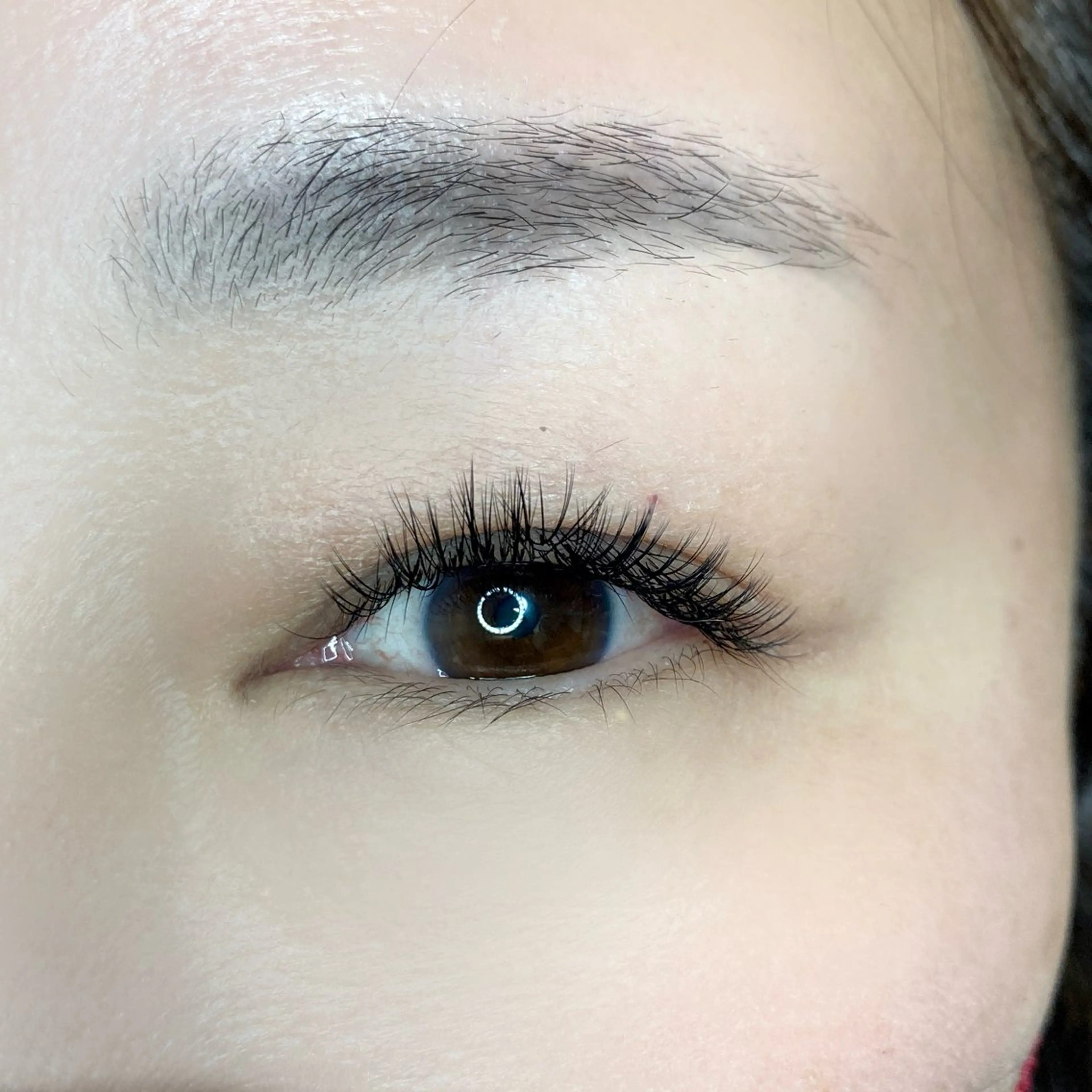 【自まつ毛改善まつエク】ダブルクラッチ　120束の写真