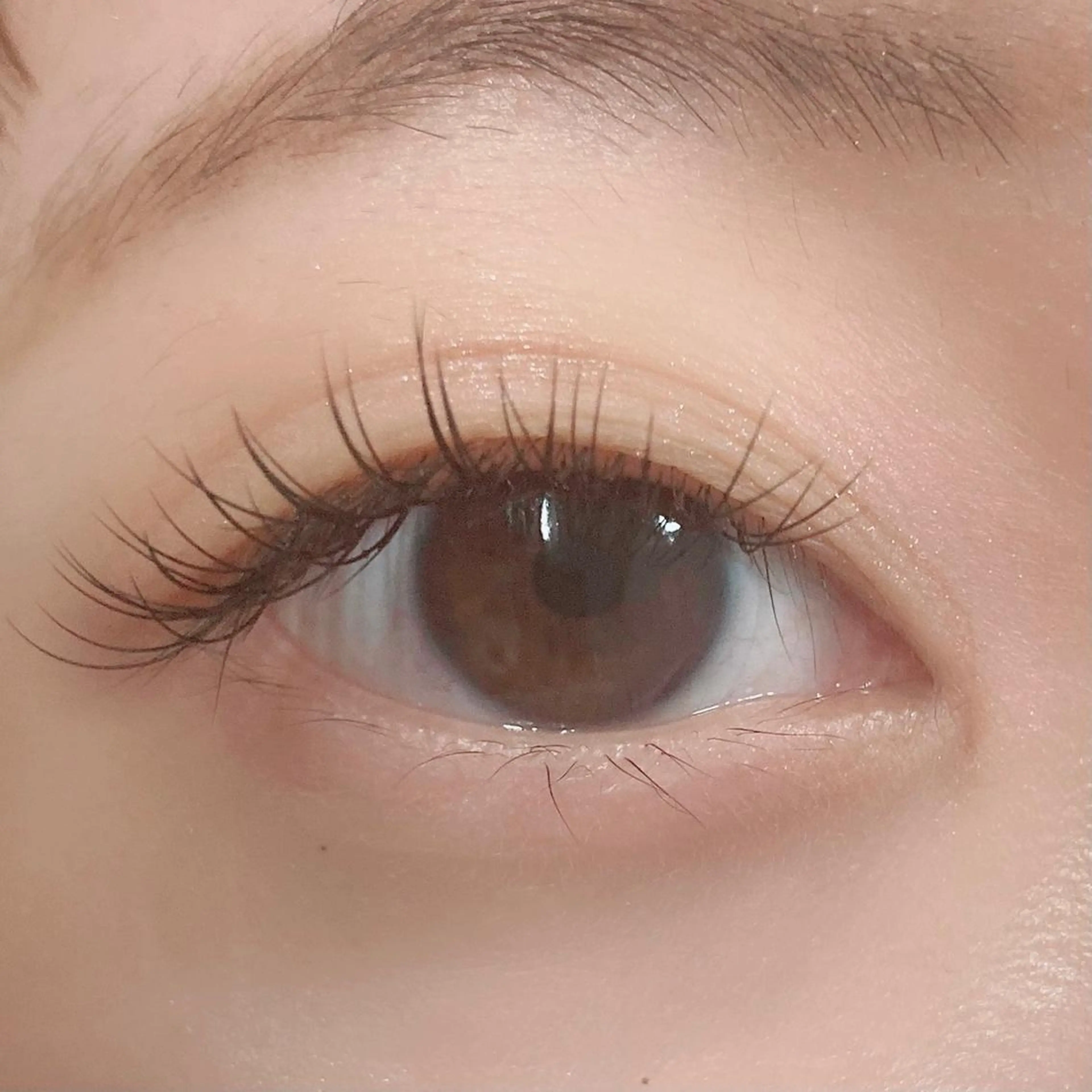 マツエク・マツパ orihara𐙚 まつげパーマ/眉毛のマツエク・マツパデザイン