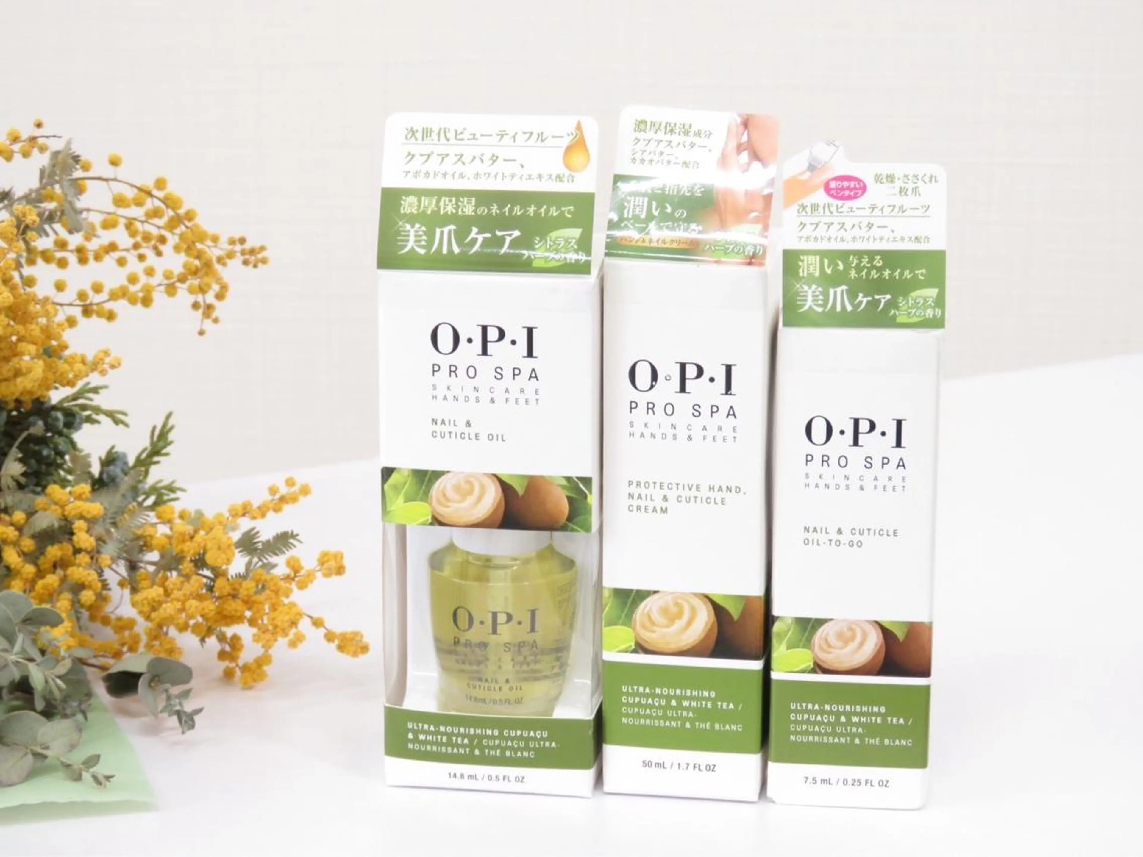 Regene HIROKAWAの眉毛・アイブロウイメージ