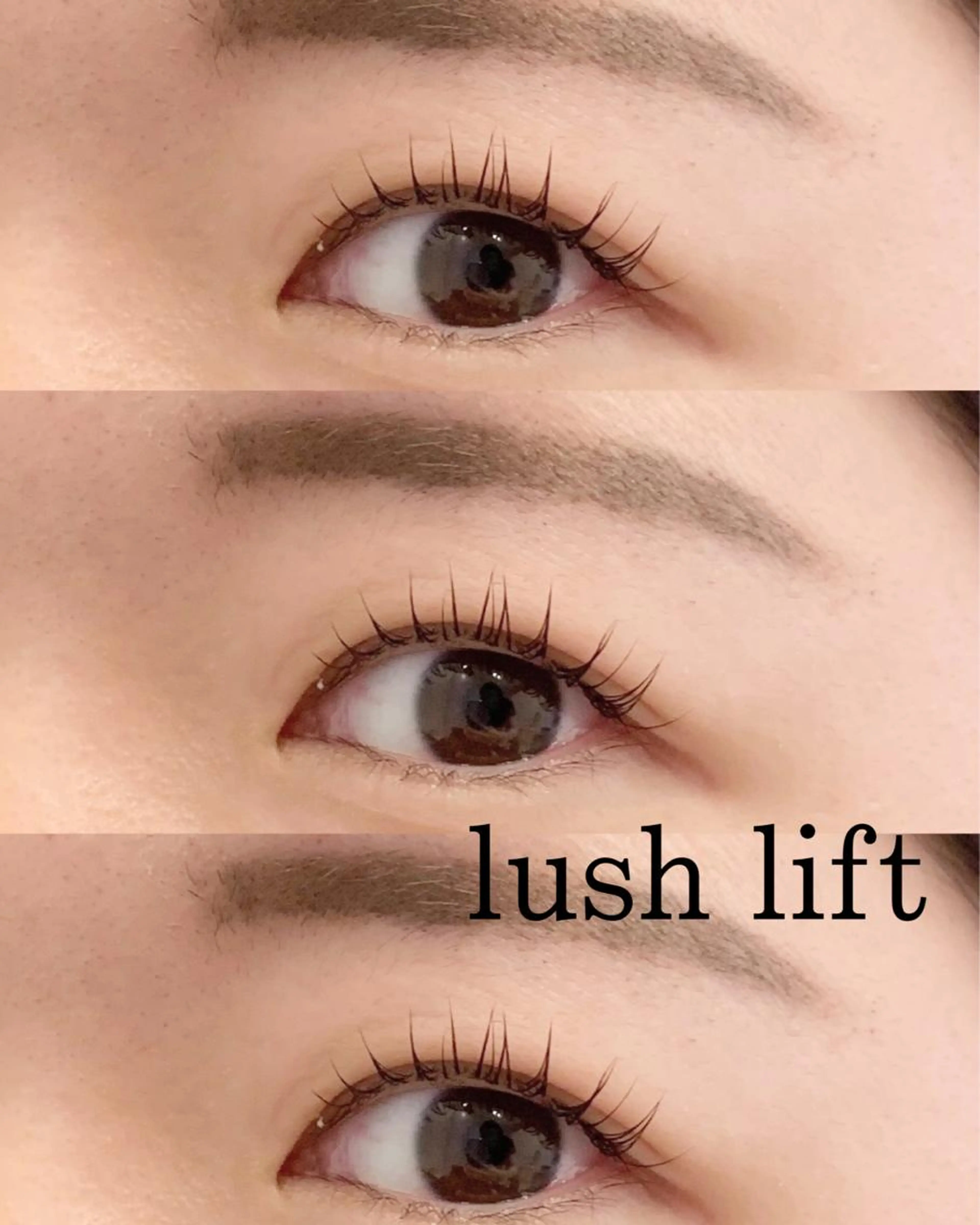 【2回目以降の方🧸】ぱっちりまつ毛パーマ🤎の写真