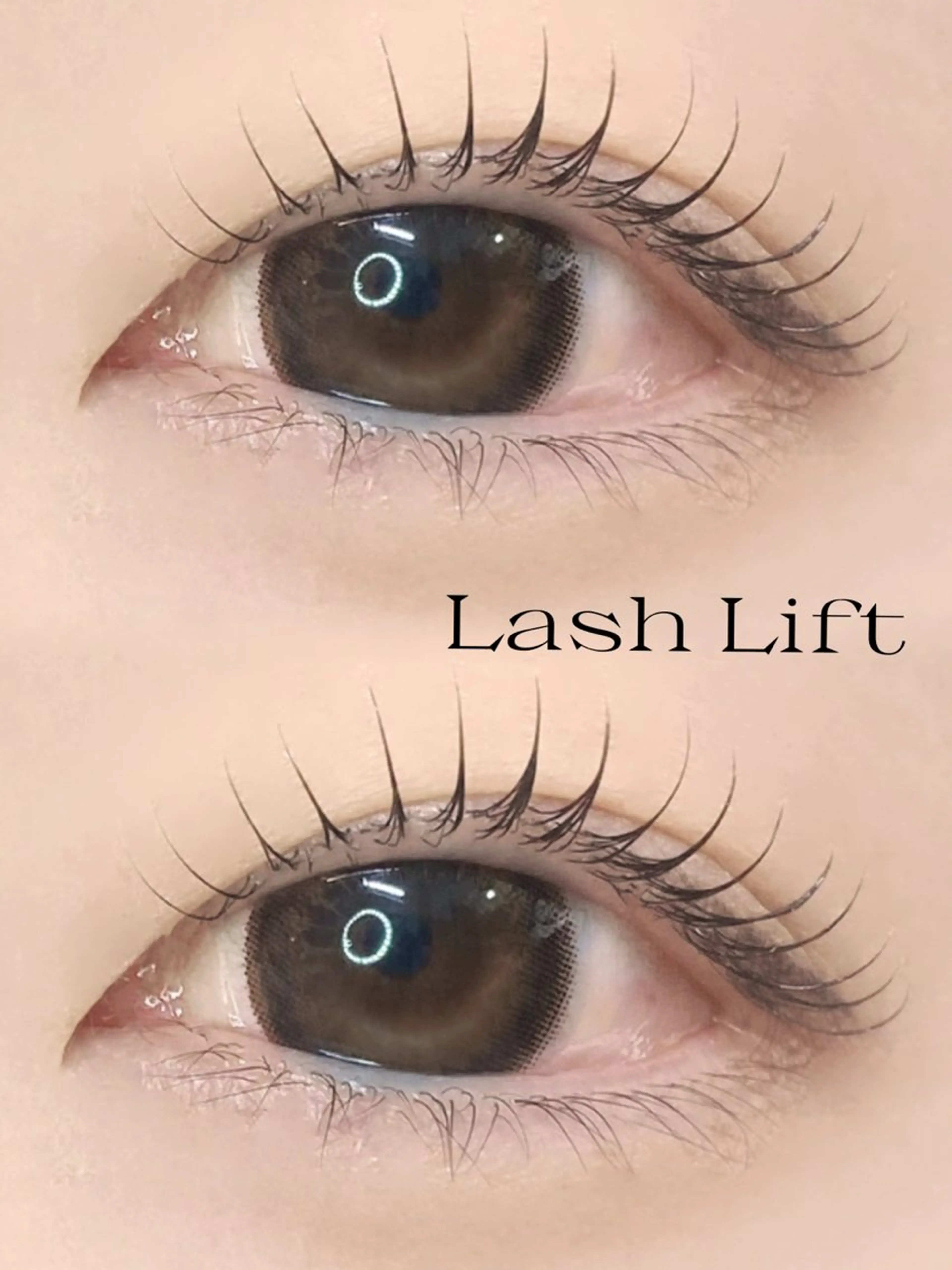 ✨ラッシュリフト✨ ¥3,000の写真