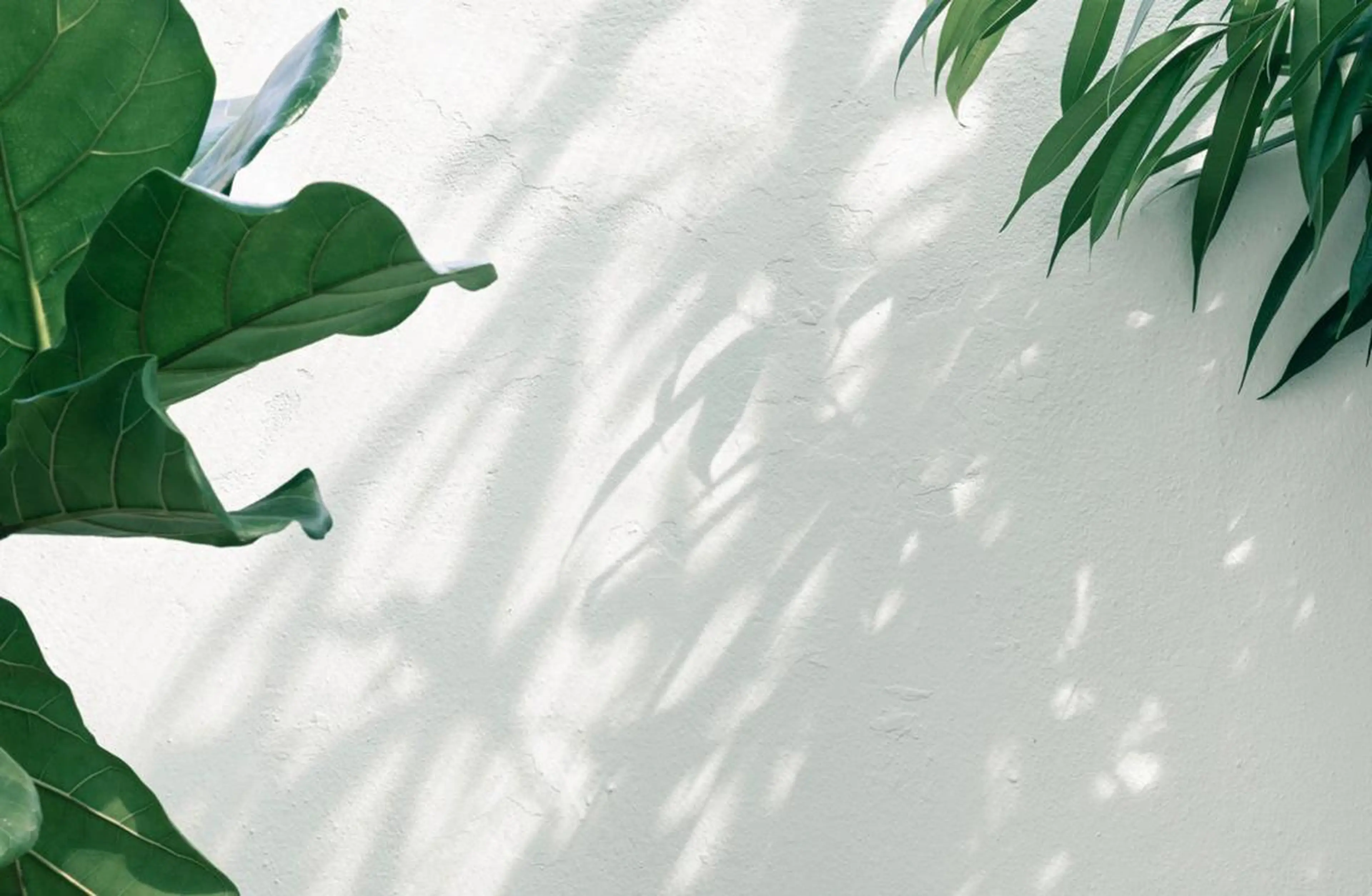 RENsalon大阪 体質改善リトリートのエステ・リラクイメージ