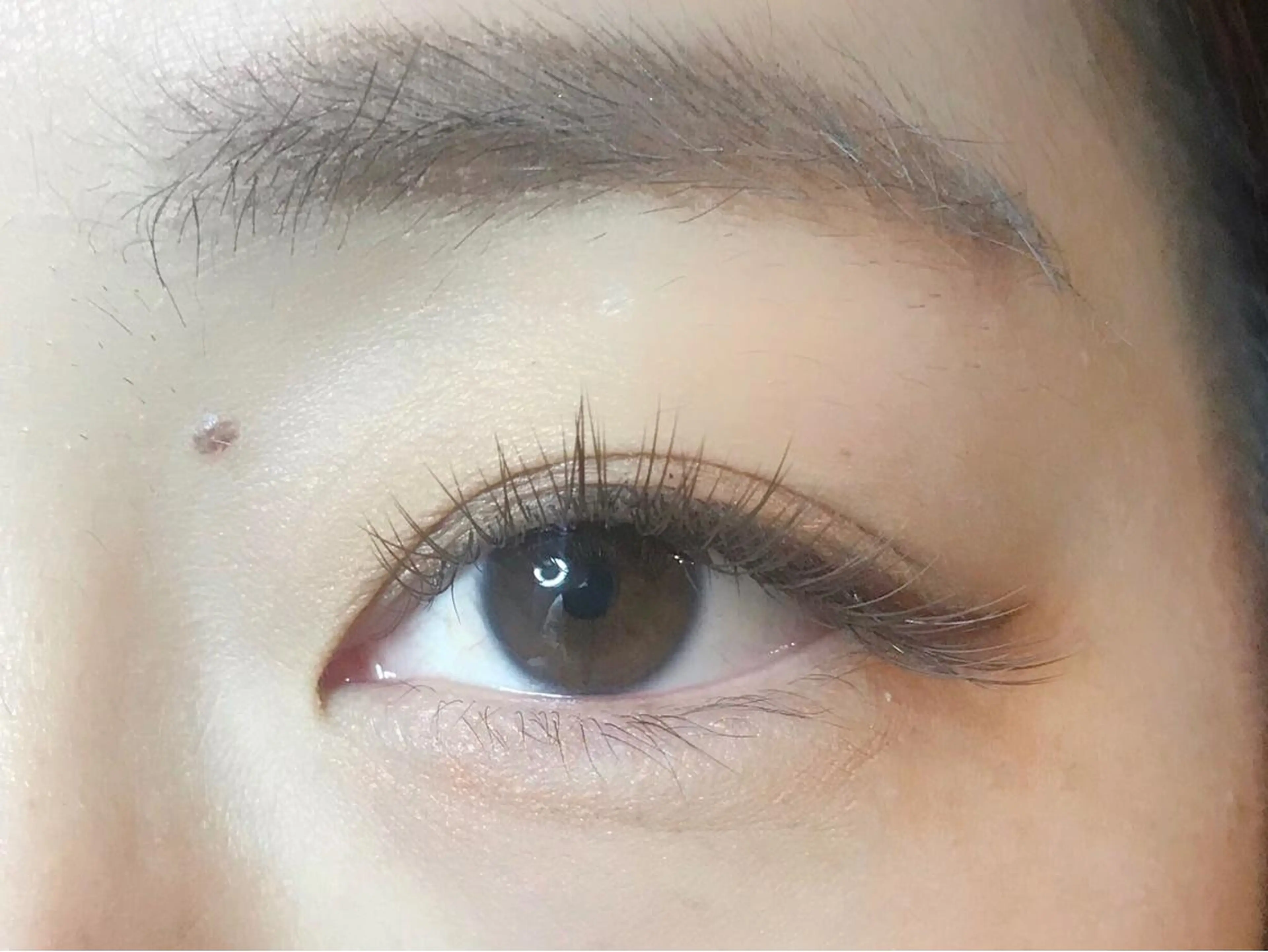 マツエク・マツパ カラーマツエク ｍｉｐｐｙ 🪽のマツエク・マツパデザイン