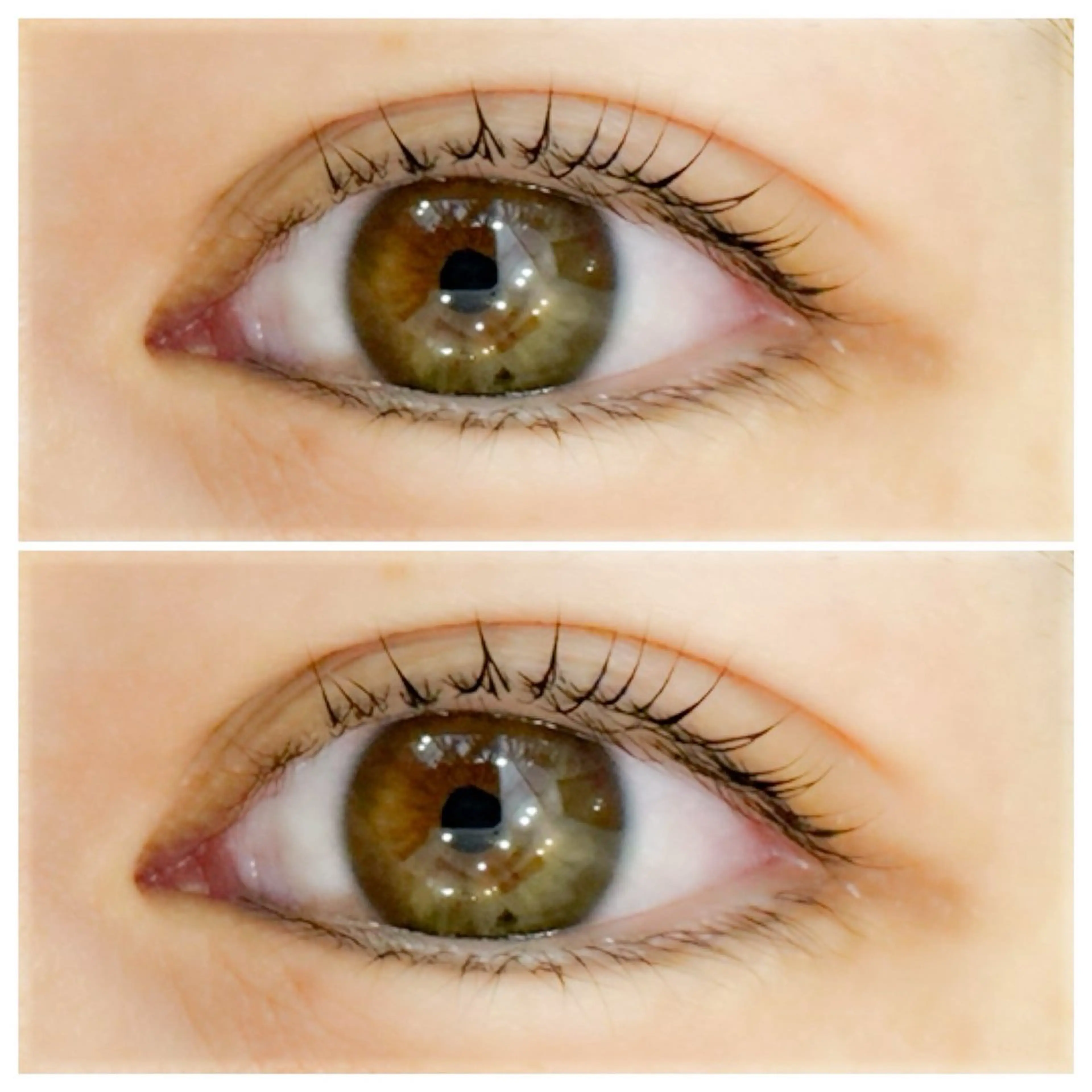 マツエク・マツパ ナチュラル Cherie所属・Rina Cherieの眉毛・アイブロウイメージ