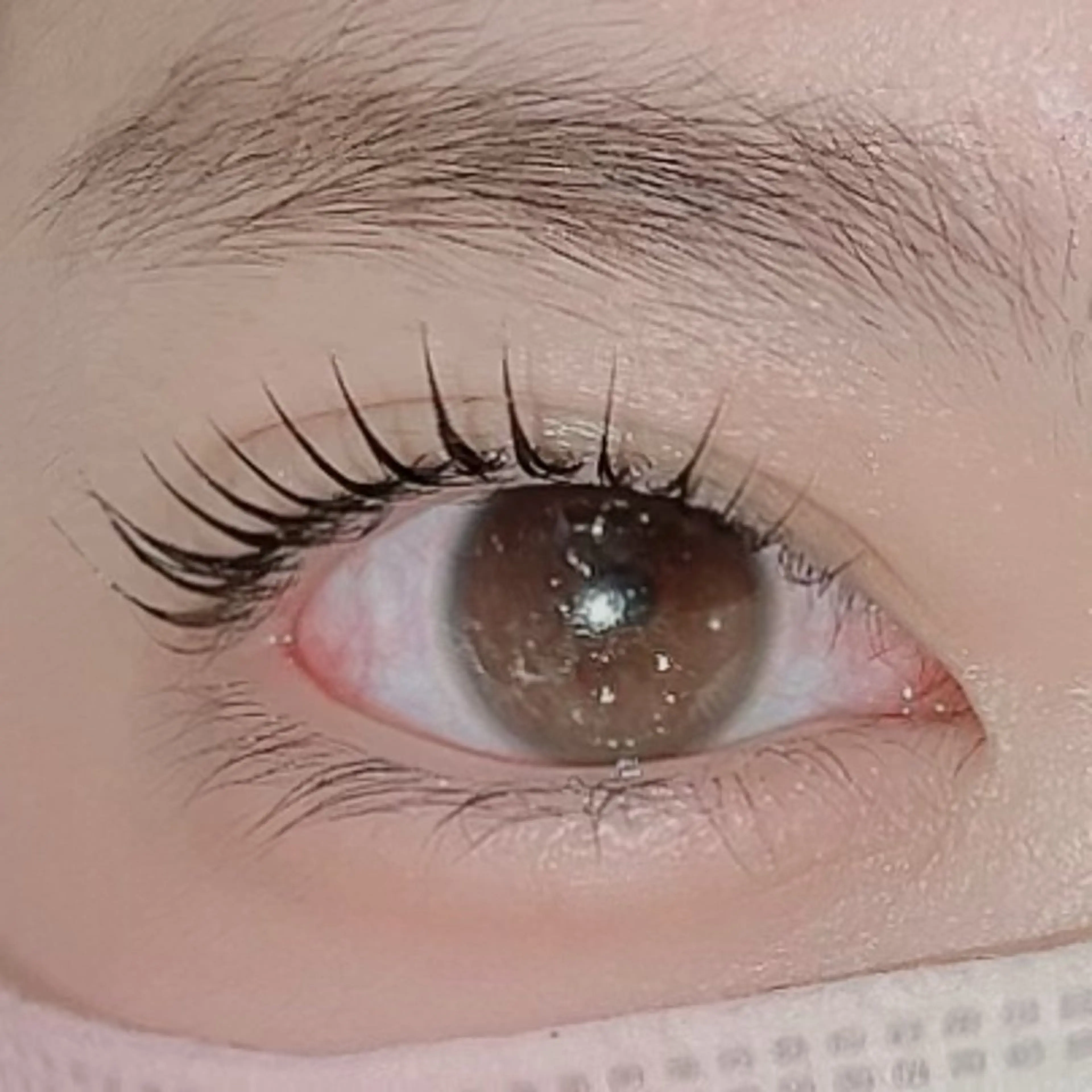 マツエク・マツパ マツパ Luxe ···▸﻿ Seike🐈‍⬛⸒の眉毛・アイブロウイメージ