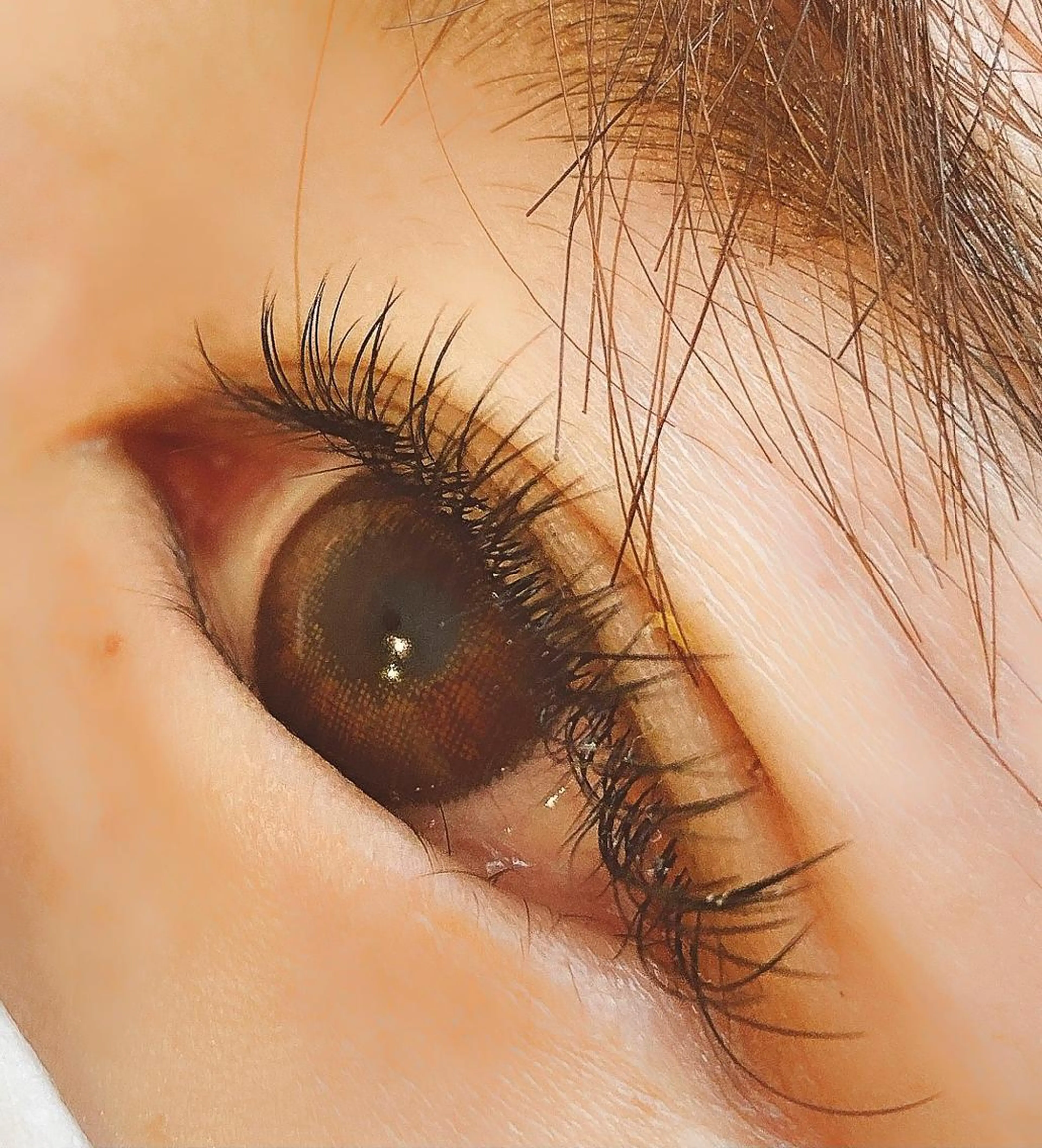 マツエク・マツパ Cカール フラットラッシュ 目尻長め L'Allure所属・野上 好乃のマツエク・マツパデザイン