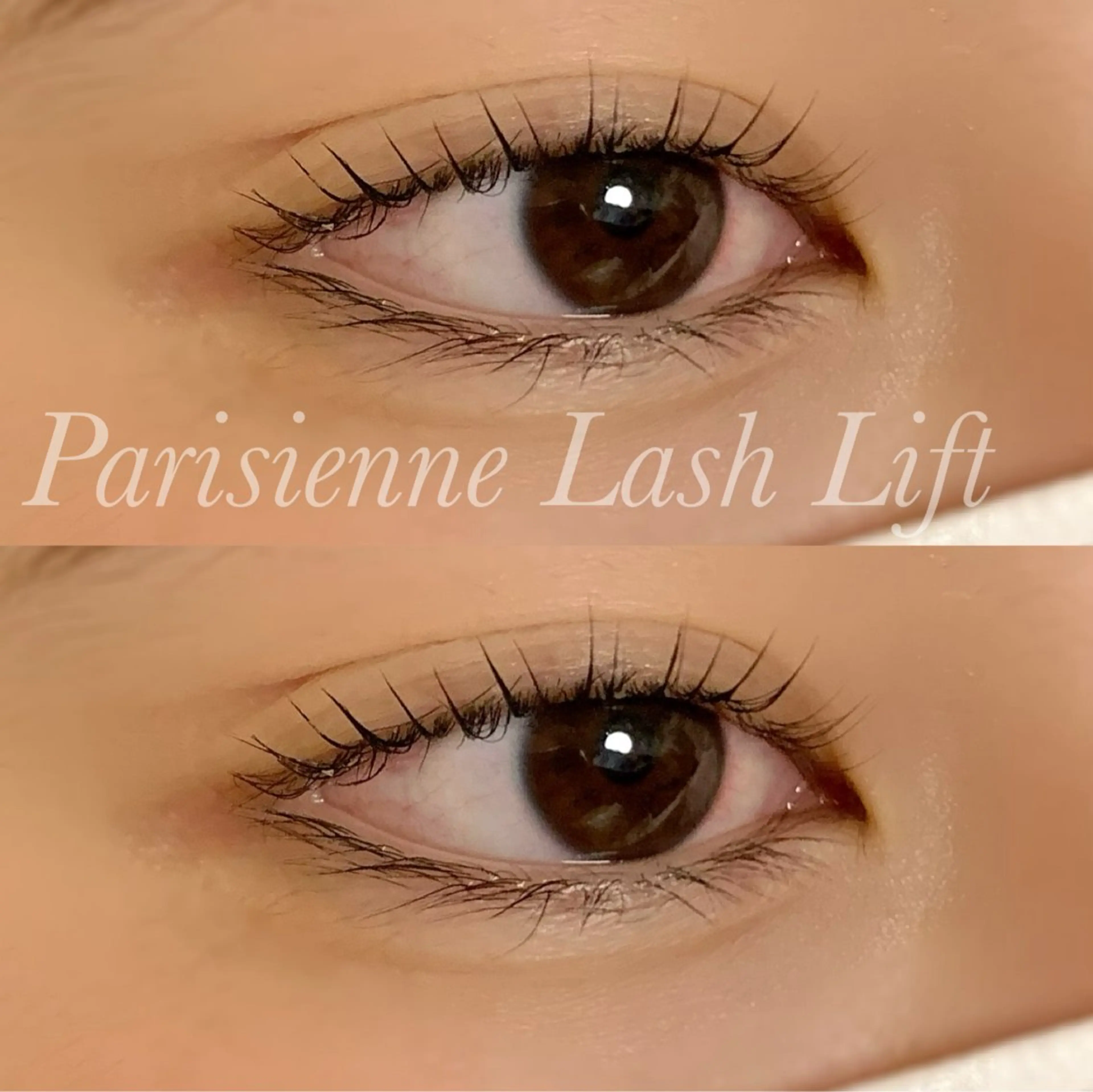 マツエク・マツパ パリジェンヌラッシュリフト マツパ Ayumi.pro 🍆N《4階》のマツエク・マツパデザイン