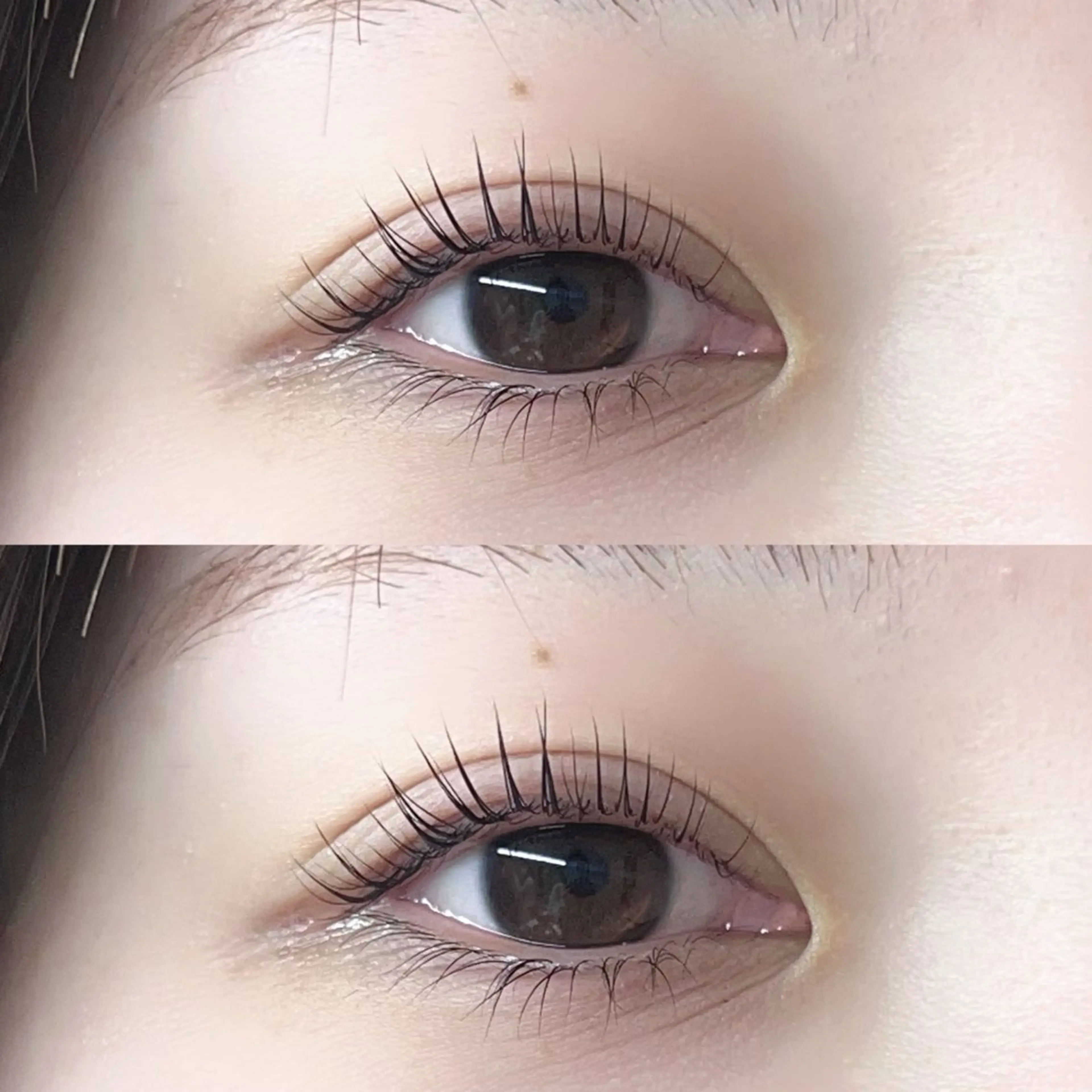 マツエク・マツパ Milobyking honokaの眉毛・アイブロウイメージ