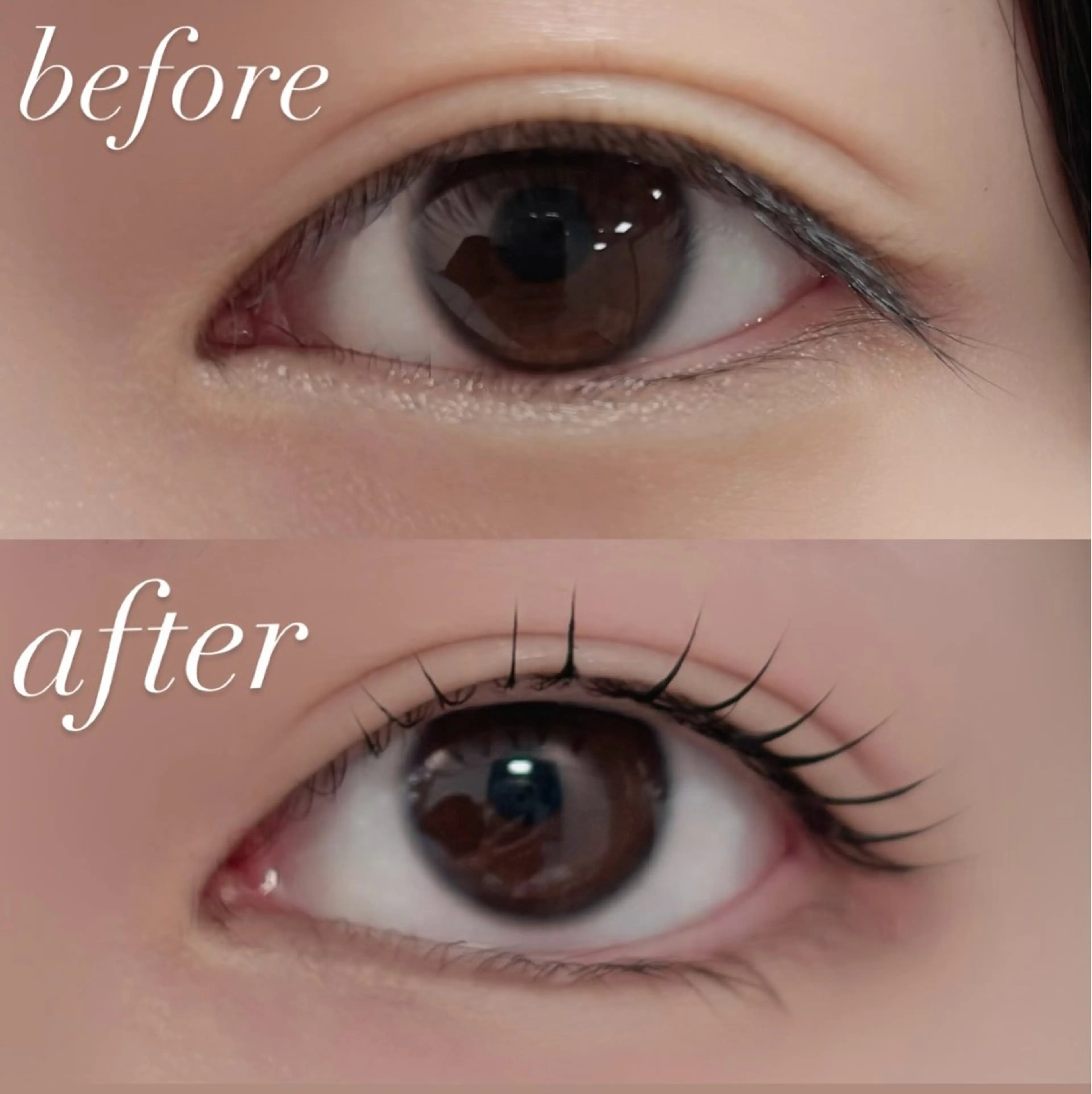 マツエク・マツパ マツパ 🏵️tico@ Risa🏵️のヘアスタイル