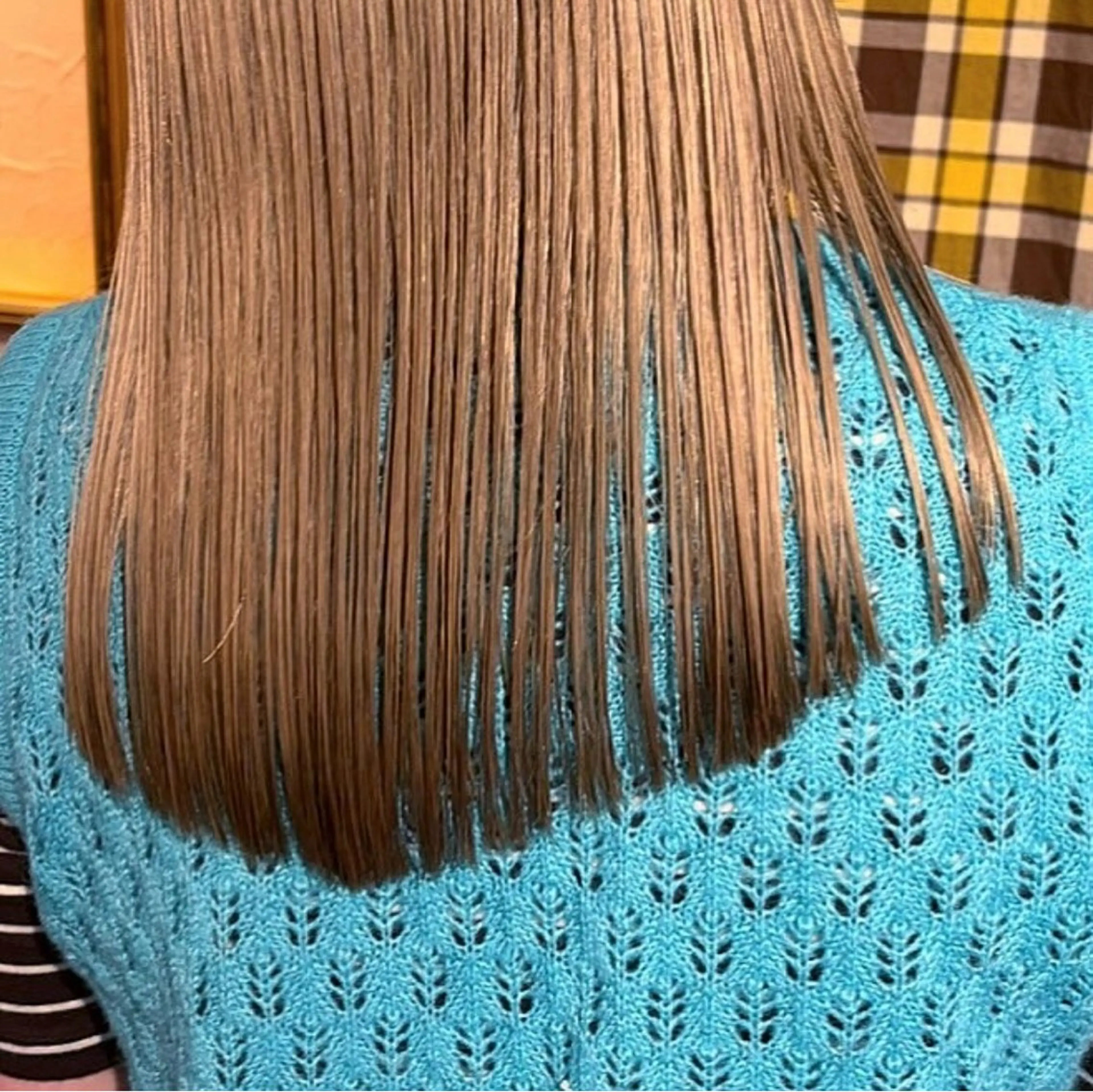 ［メンテナンス✨］ワンカラー🪣の写真