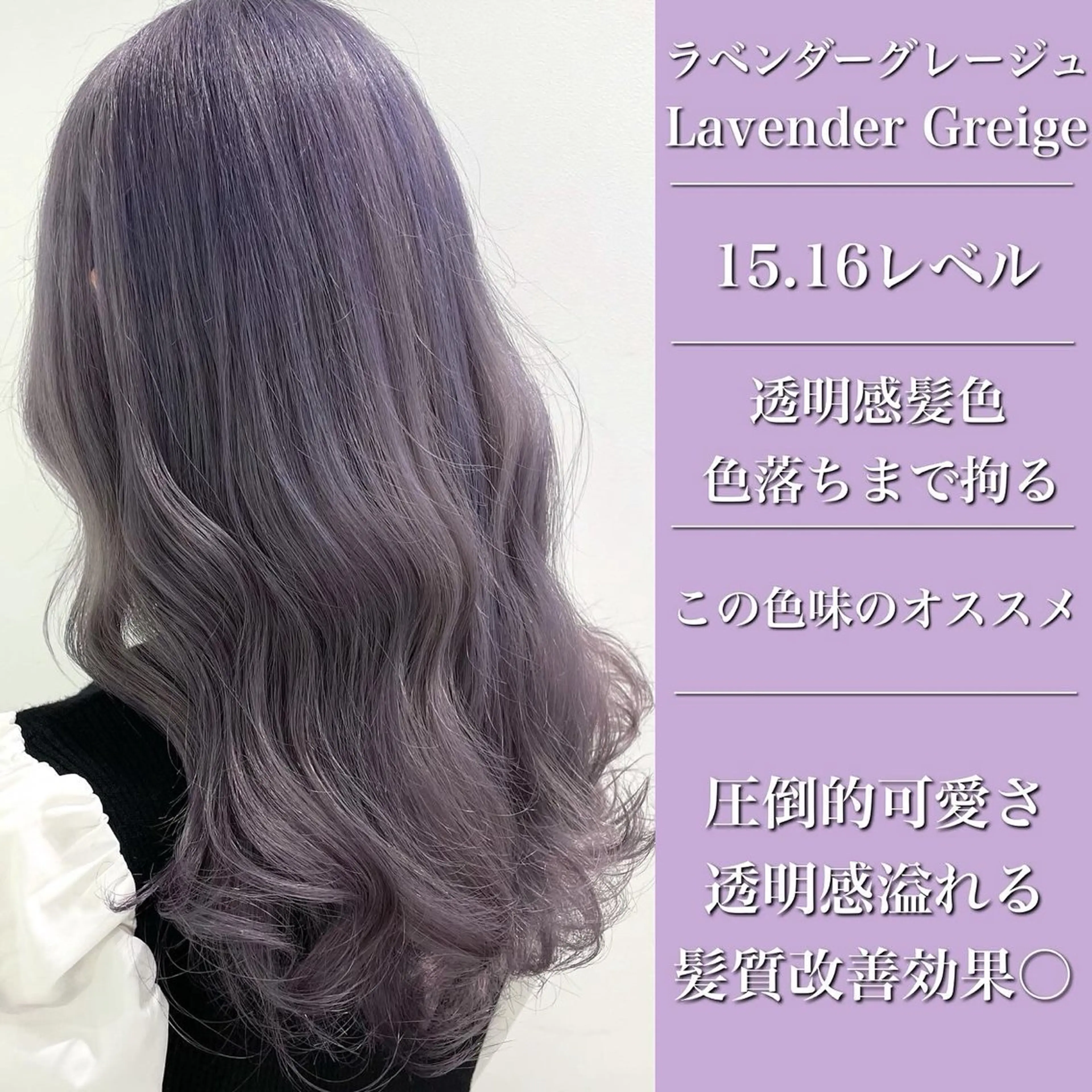 セミロング カラー パーマ ヘアアレンジ メンズ ヘアカラー トリートメント ヘッドスパ ヘアセット 🪞モテ髪/トレンド 銀座DISCO🪞のヘアスタイル