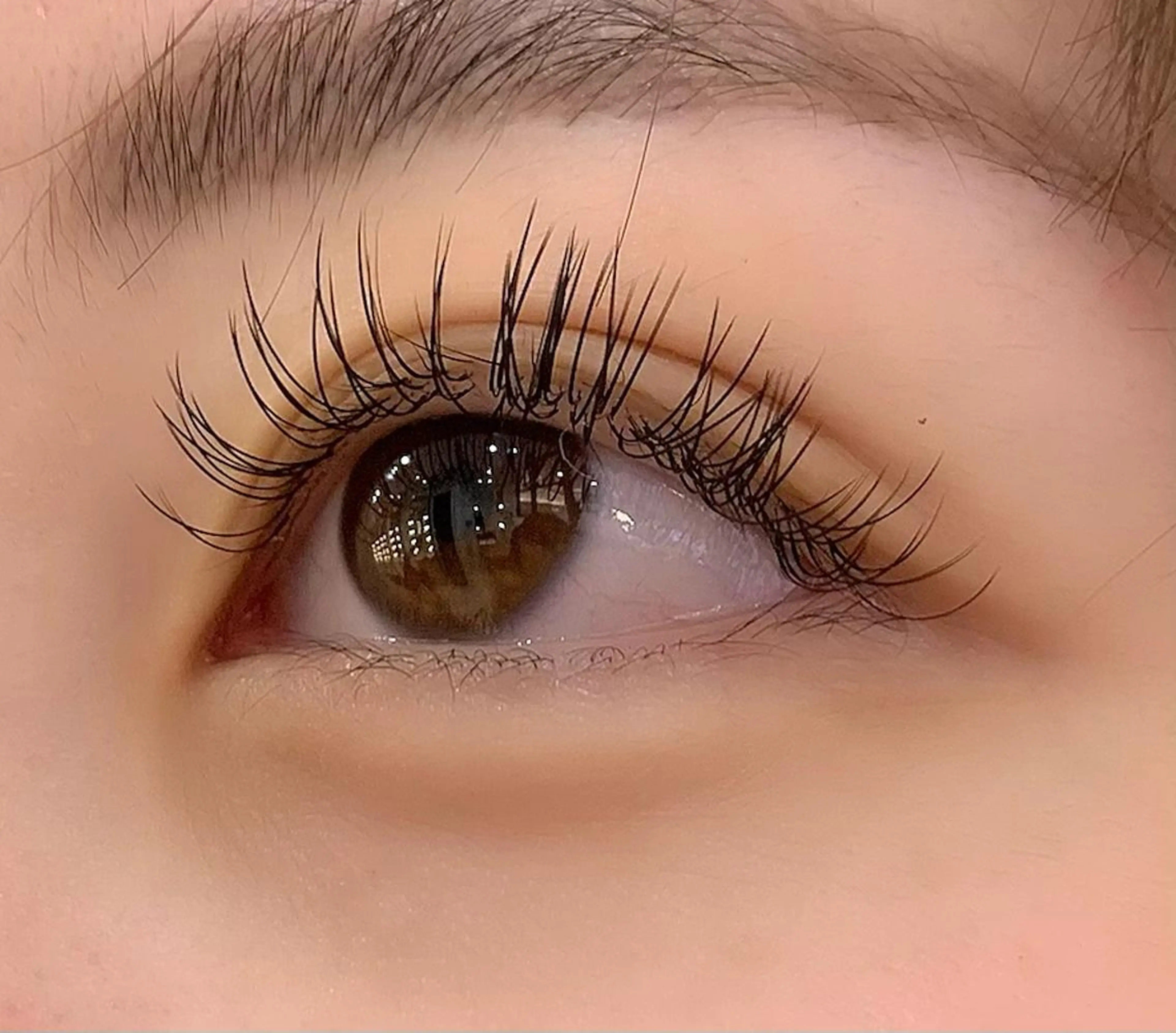 マツエク・マツパ フラットラッシュ Celeste Venus所属・🧸Celeste Venusのマツエク・マツパデザイン