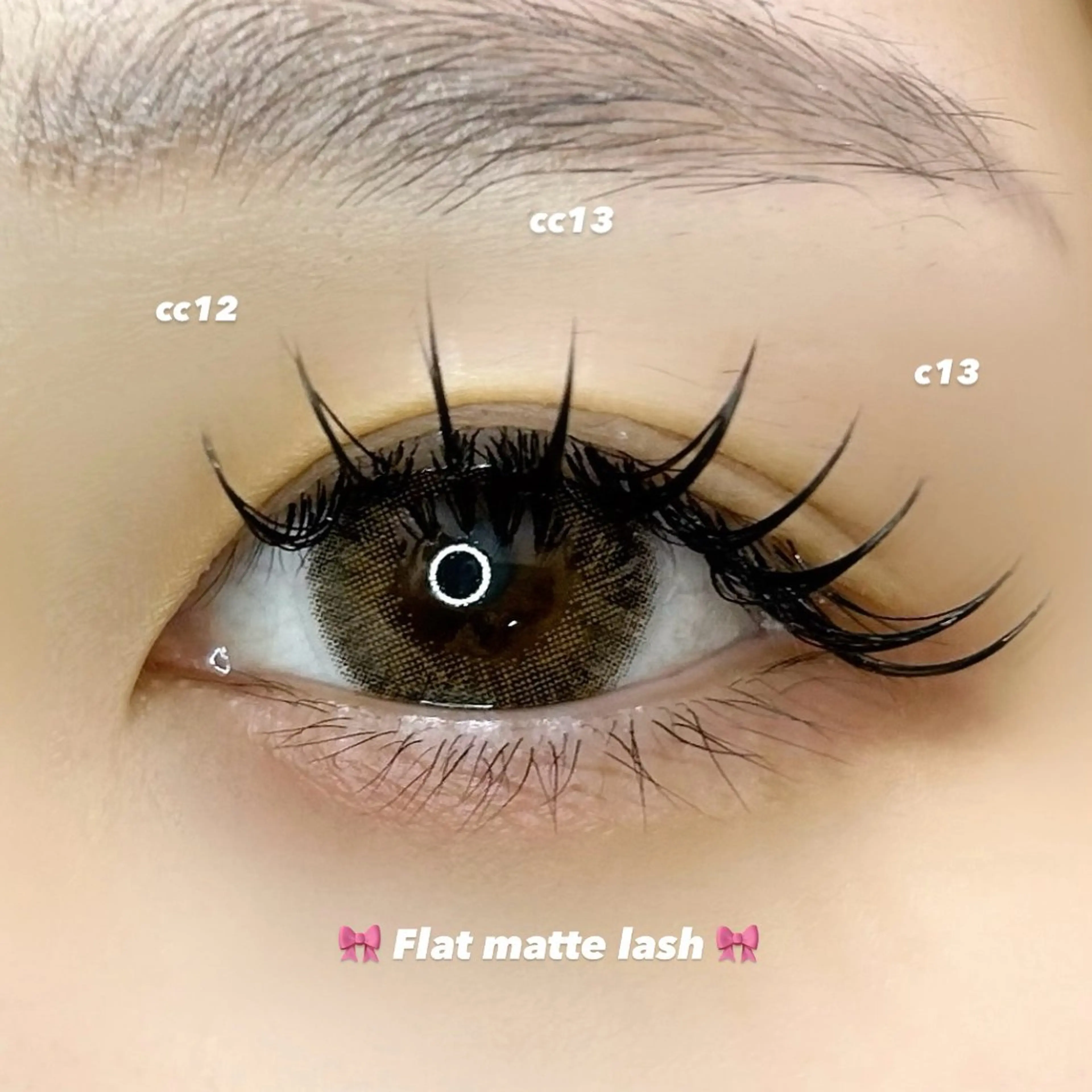 フラットマットラッシュ120本の写真