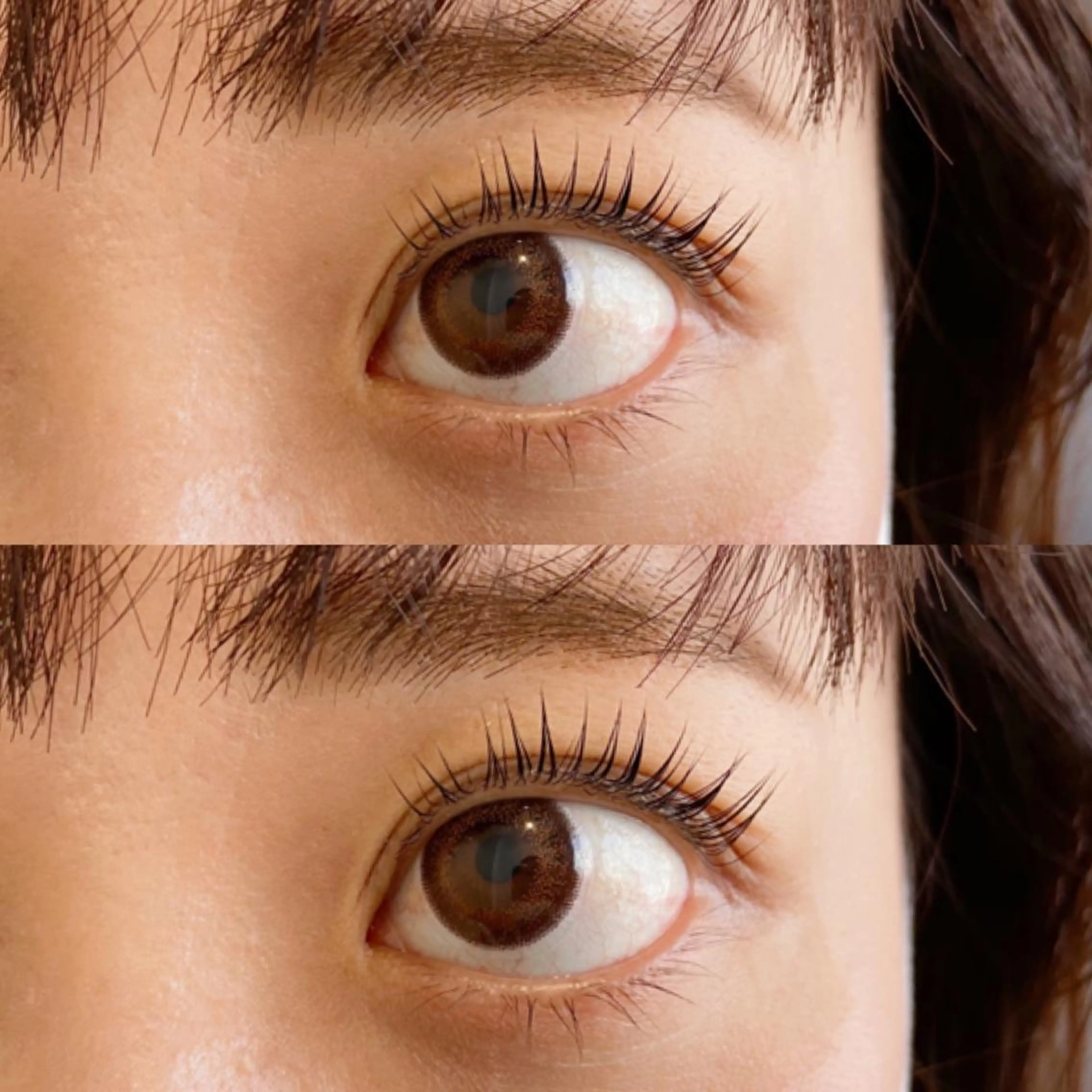 マツエク・マツパ covo eyelash所属・covo 🐻の眉毛・アイブロウイメージ