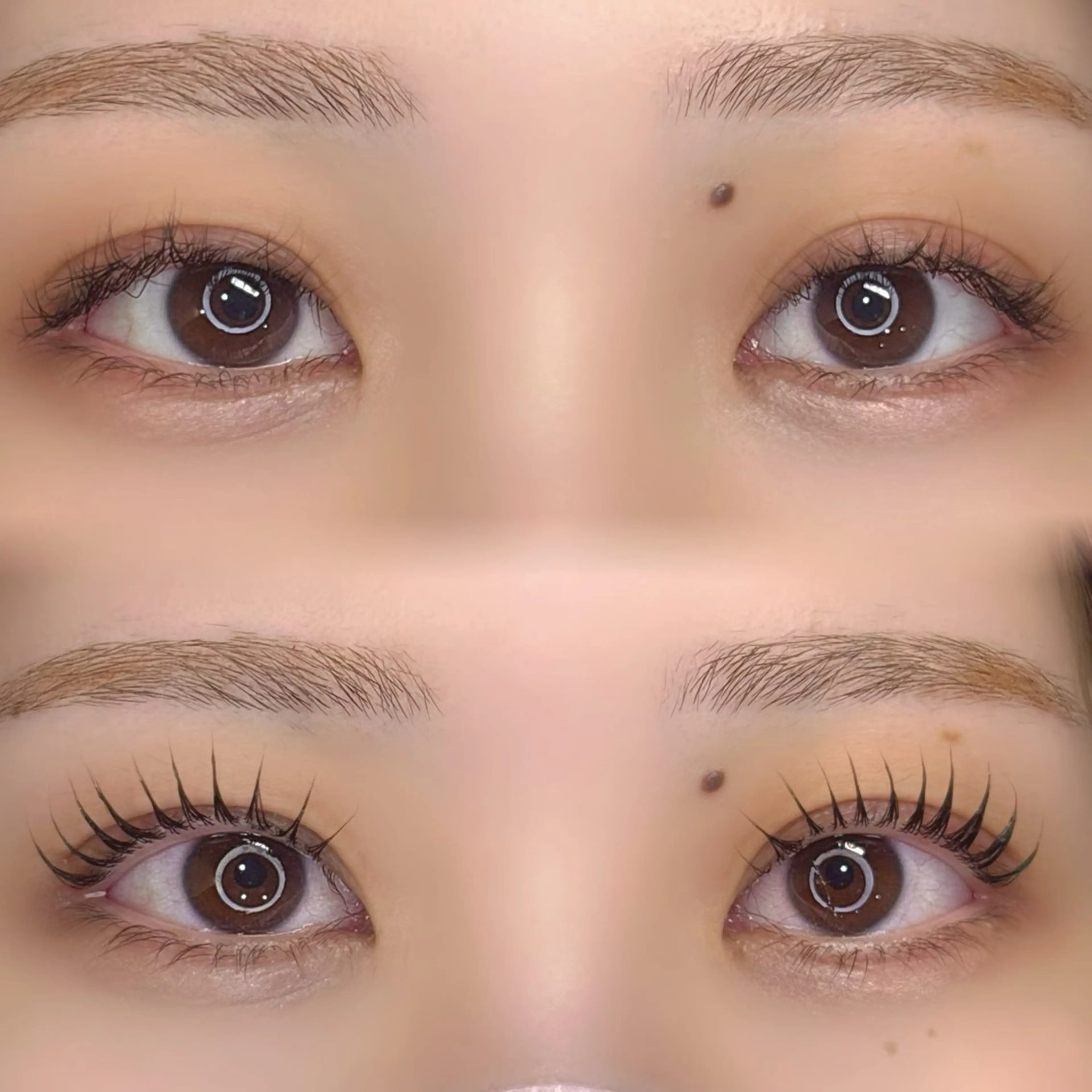 マツエク・マツパ EYE LABO所属・EYE LABO / まつげパーマのマツエク・マツパデザイン