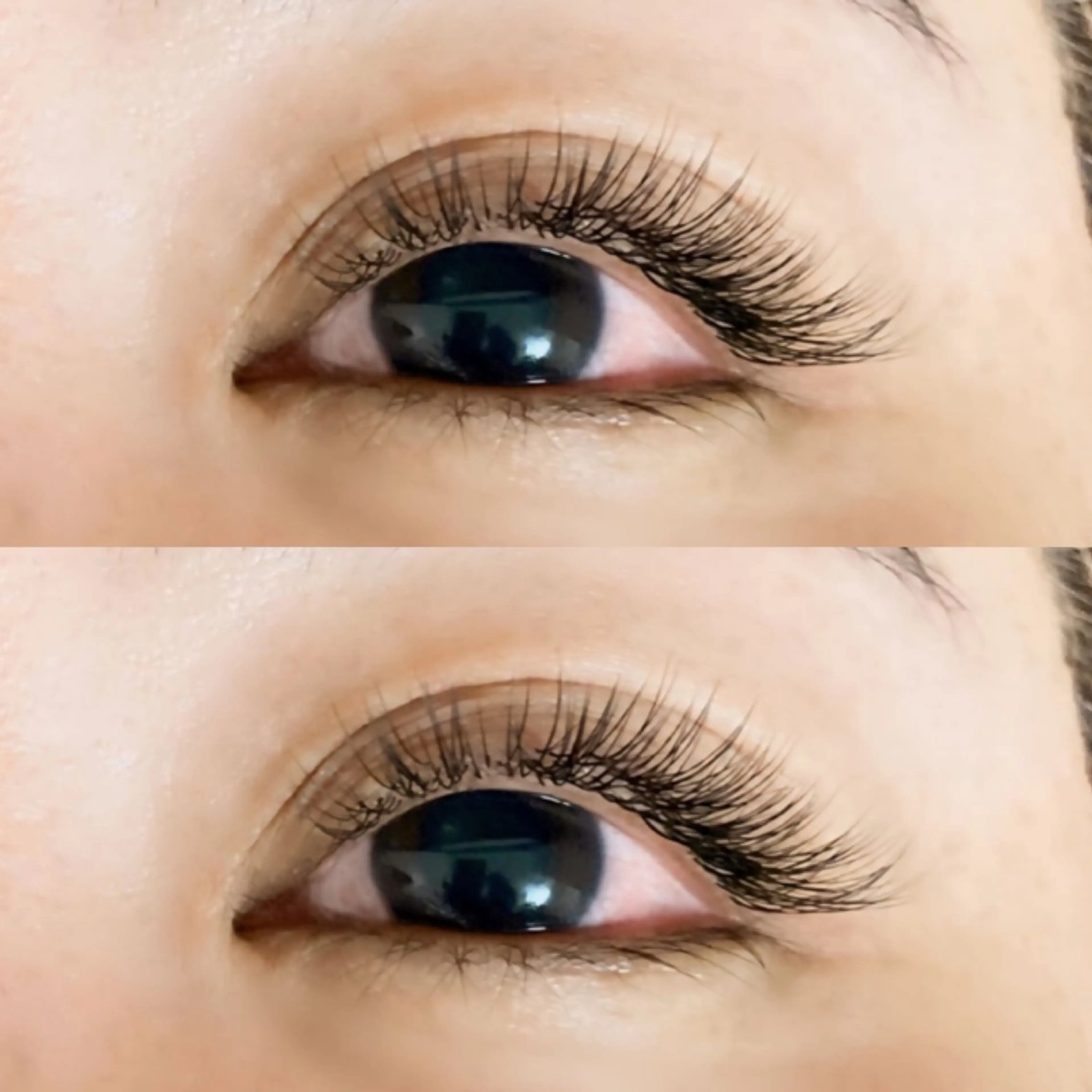 【カウンセリング/ケア/オフ付】フラットラッシュ上付け放題（ボリューミー）の写真