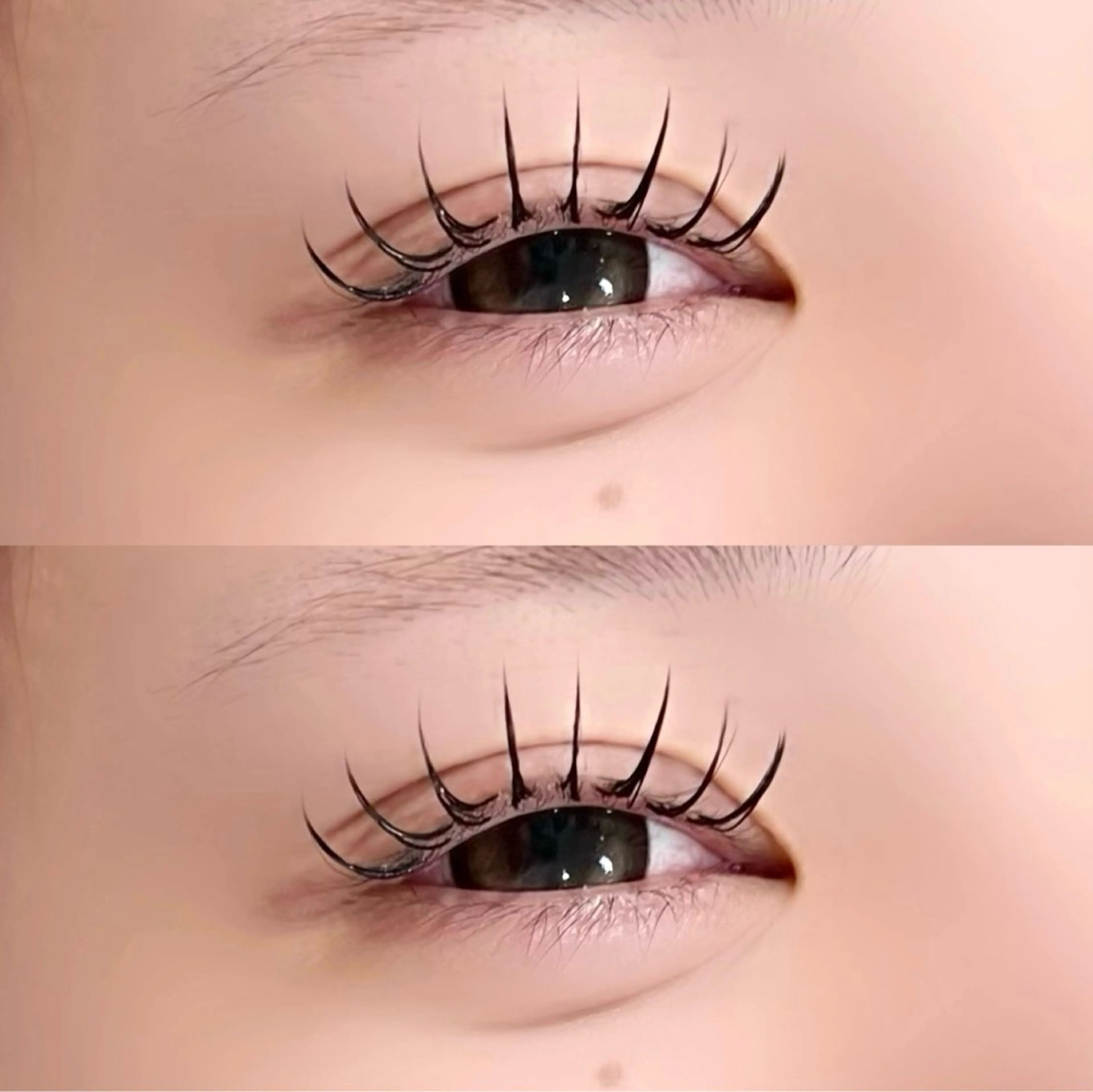 マツエク・マツパ マツエク 🕊MaazLash 4🕊️のマツエク・マツパデザイン