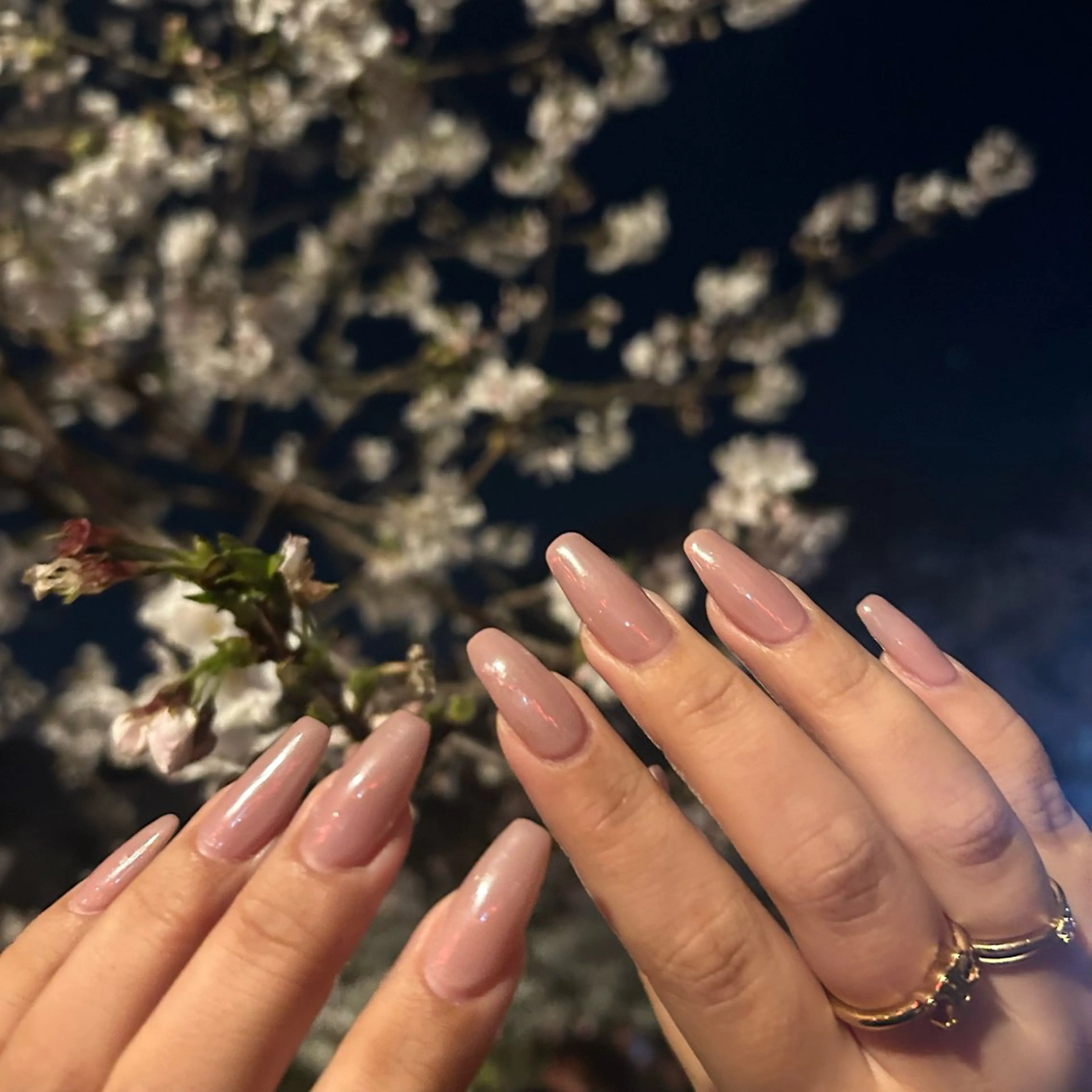 ネイル ハンドネイル サカニシ /Bianca中野のネイルデザイン