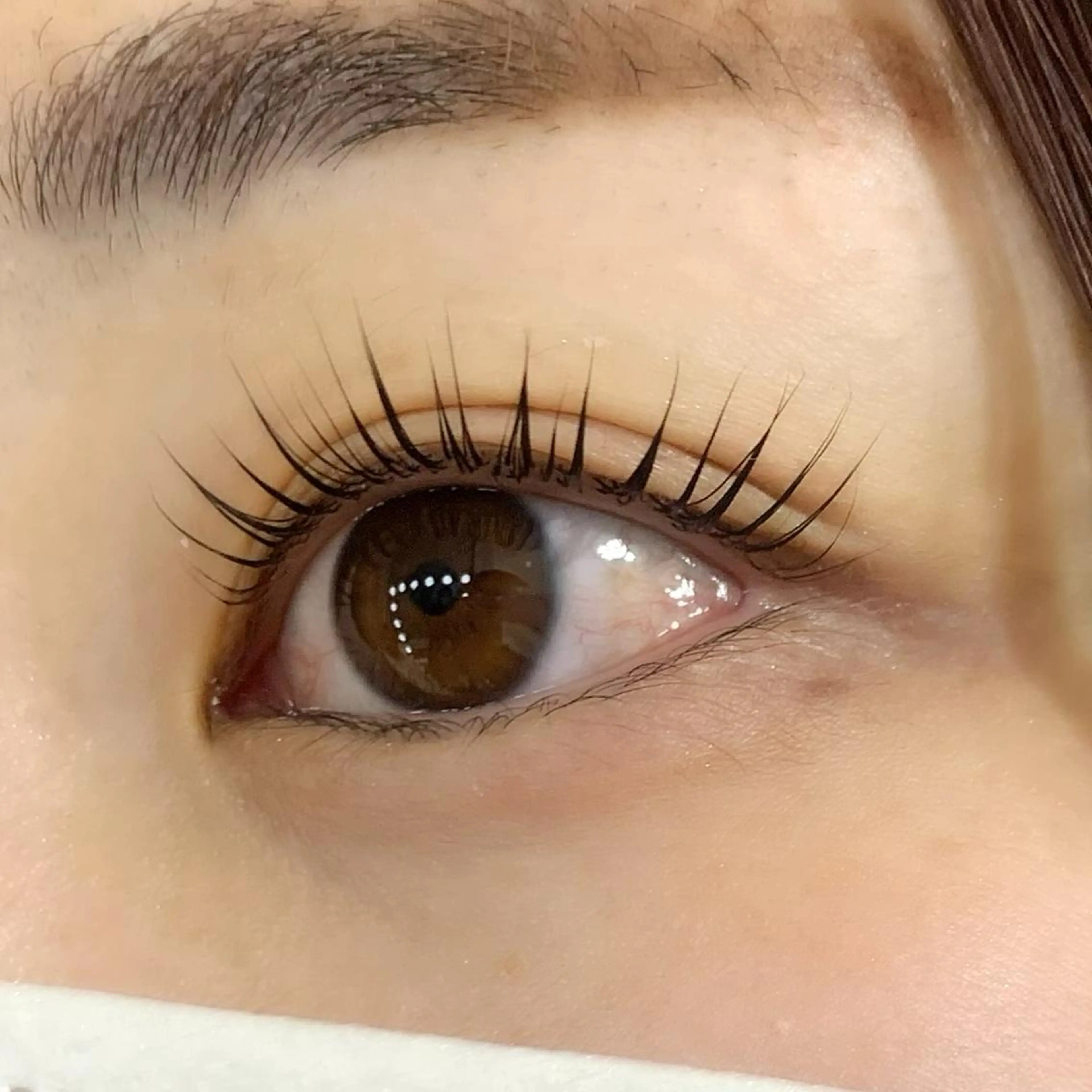 マツエク・マツパ パリジェンヌラッシュリフト Celeste Venus所属・🧸Celeste Venusのマツエク・マツパデザイン