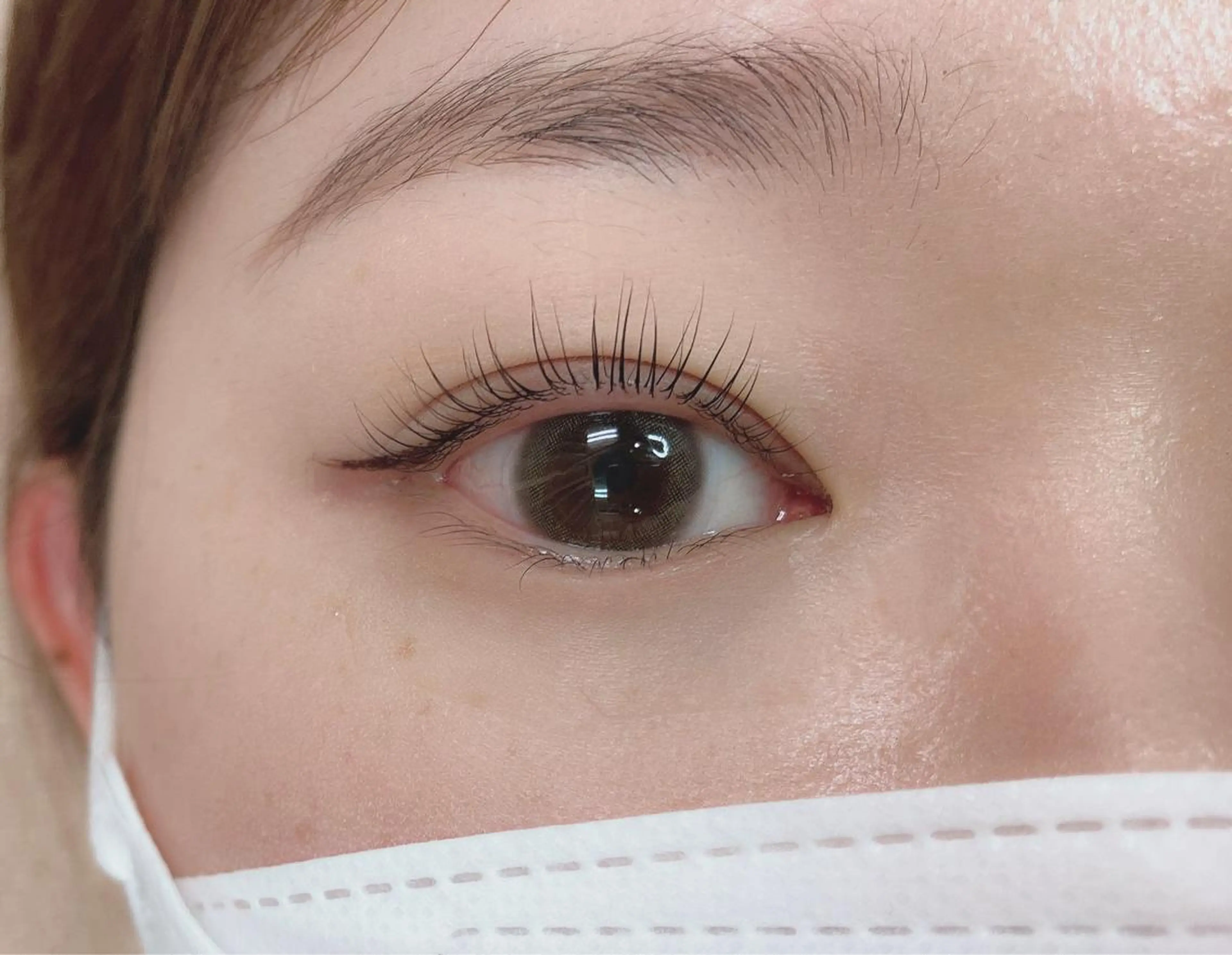 パリジェンヌ/ラッシュリフトの写真